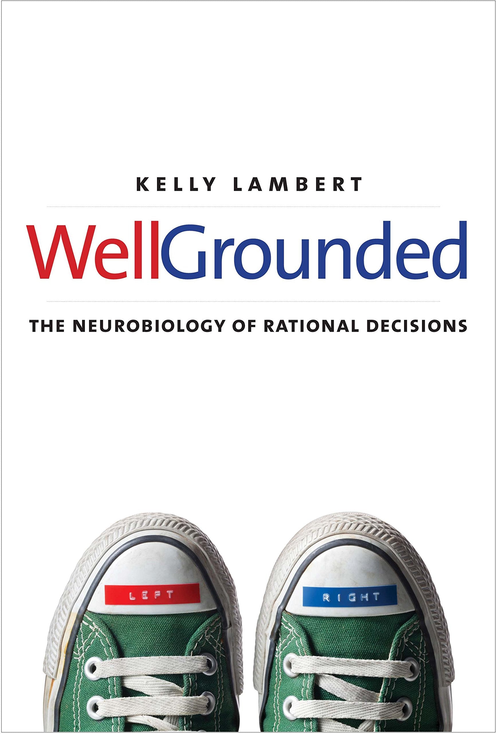 WellGrounded: The Neurobiology of Rational Decisions,Used