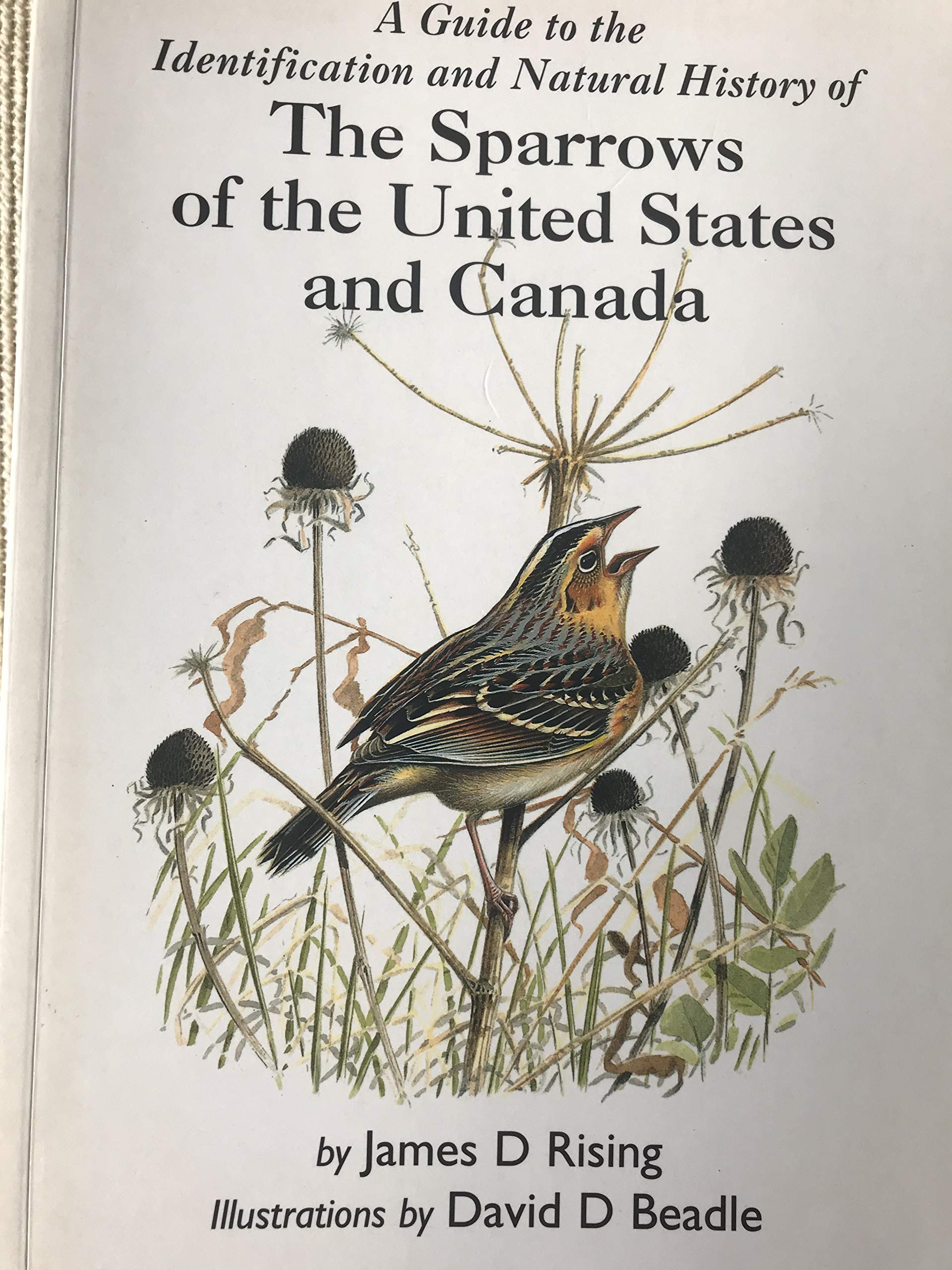A Guide To The Identification And Natural History Of The Sparrows Of The United States And Canada,Used