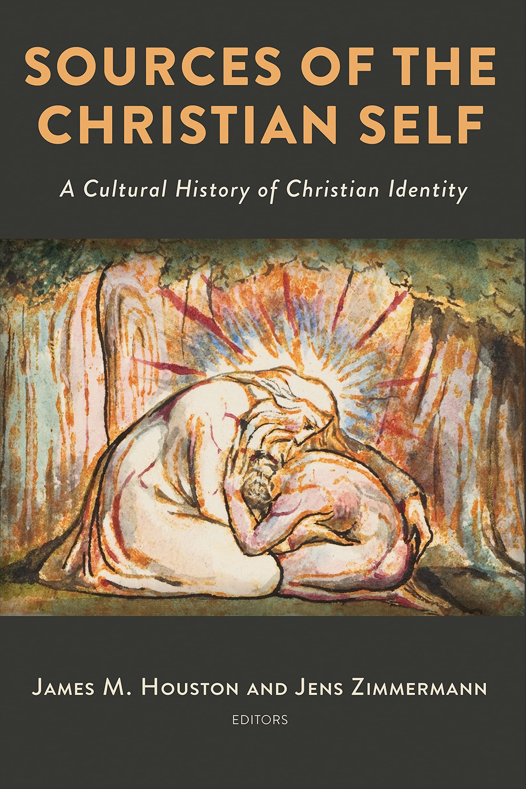 Sources of the Christian Self: A Cultural History of Christian Identity,Used