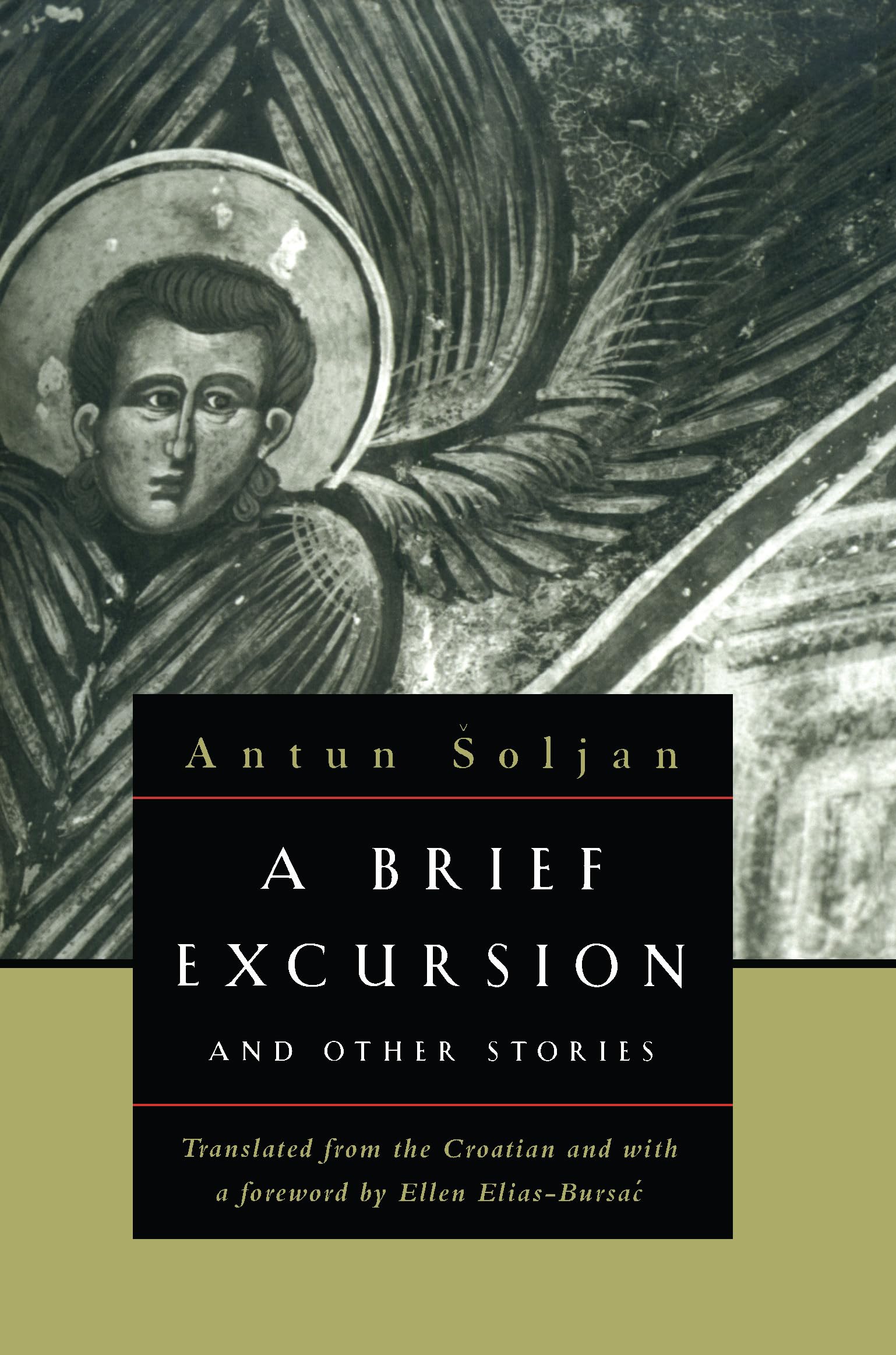 A Brief Excursion And Other Stories (European Classics),Used