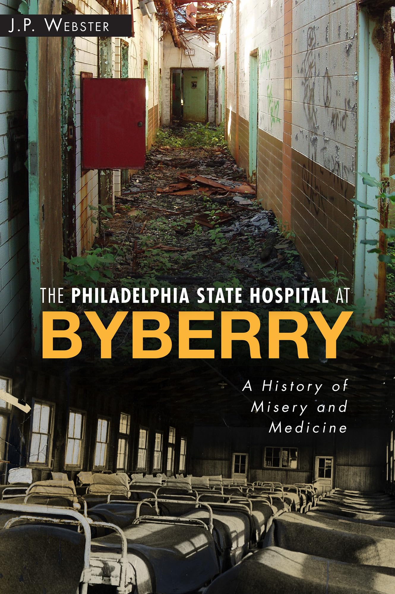 The Philadelphia State Hospital At Byberry: A History Of Misery And Medicine (Landmarks),Used