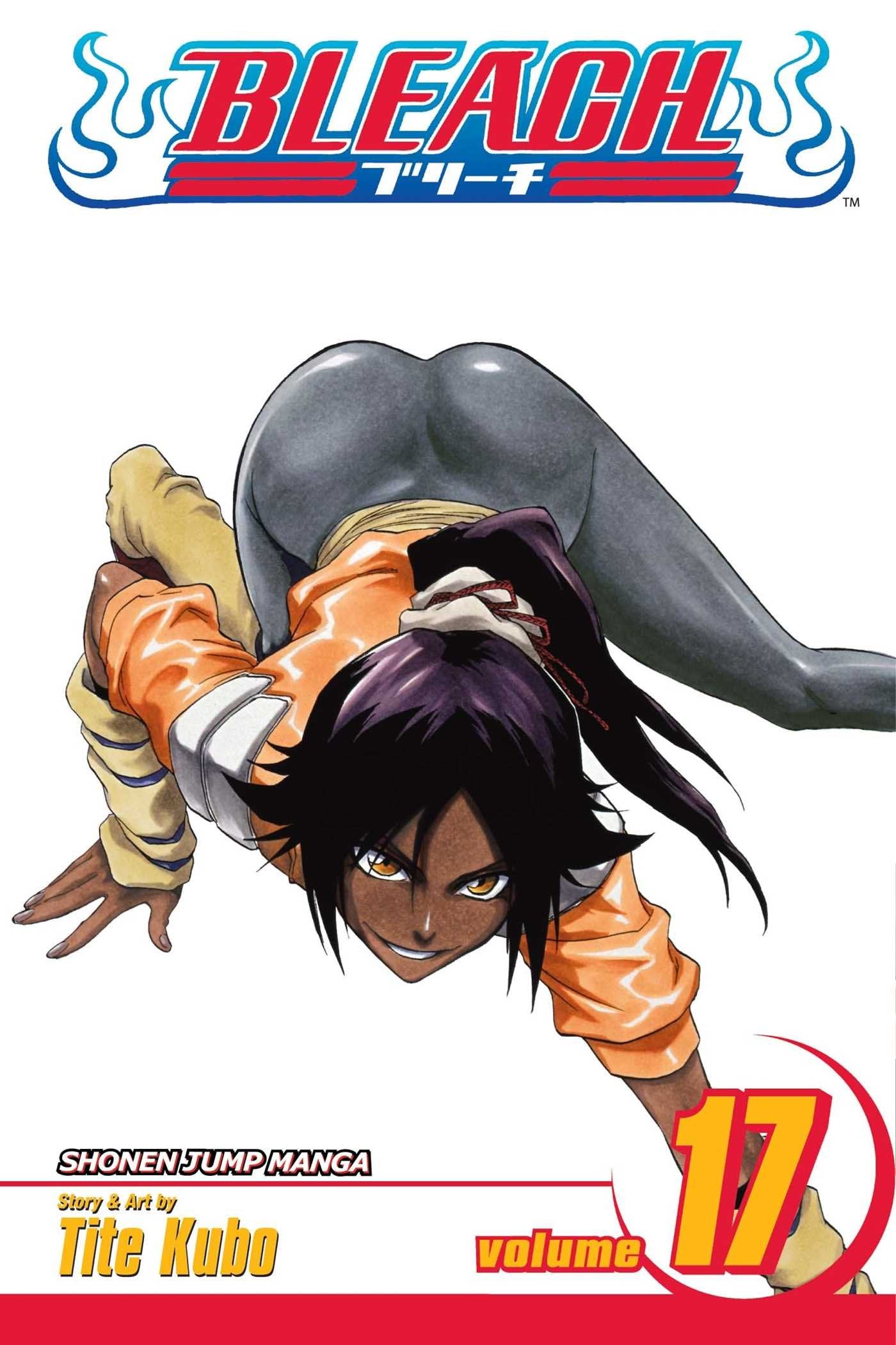 Bleach, Vol. 17,New