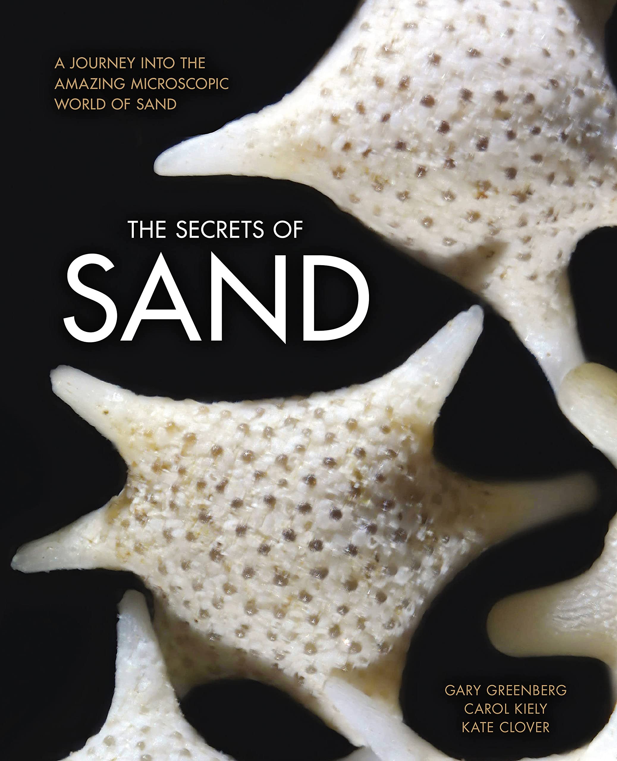 The Secrets Of Sand: A Journey Into The Amazing Microscopic World Of Sand,Used