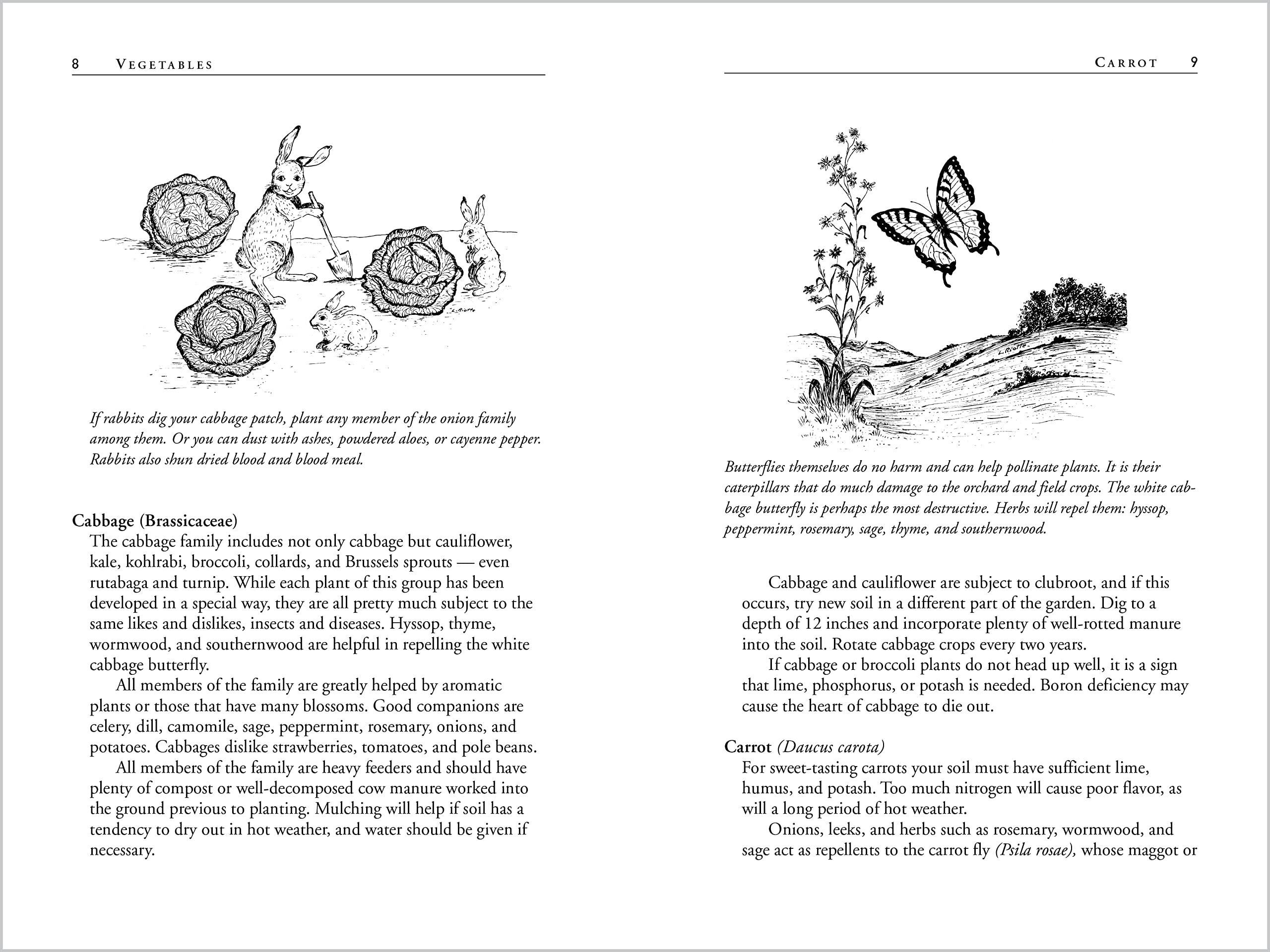 Carrots Love Tomatoes: Secrets of Companion Planting for Successful Gardening,Used