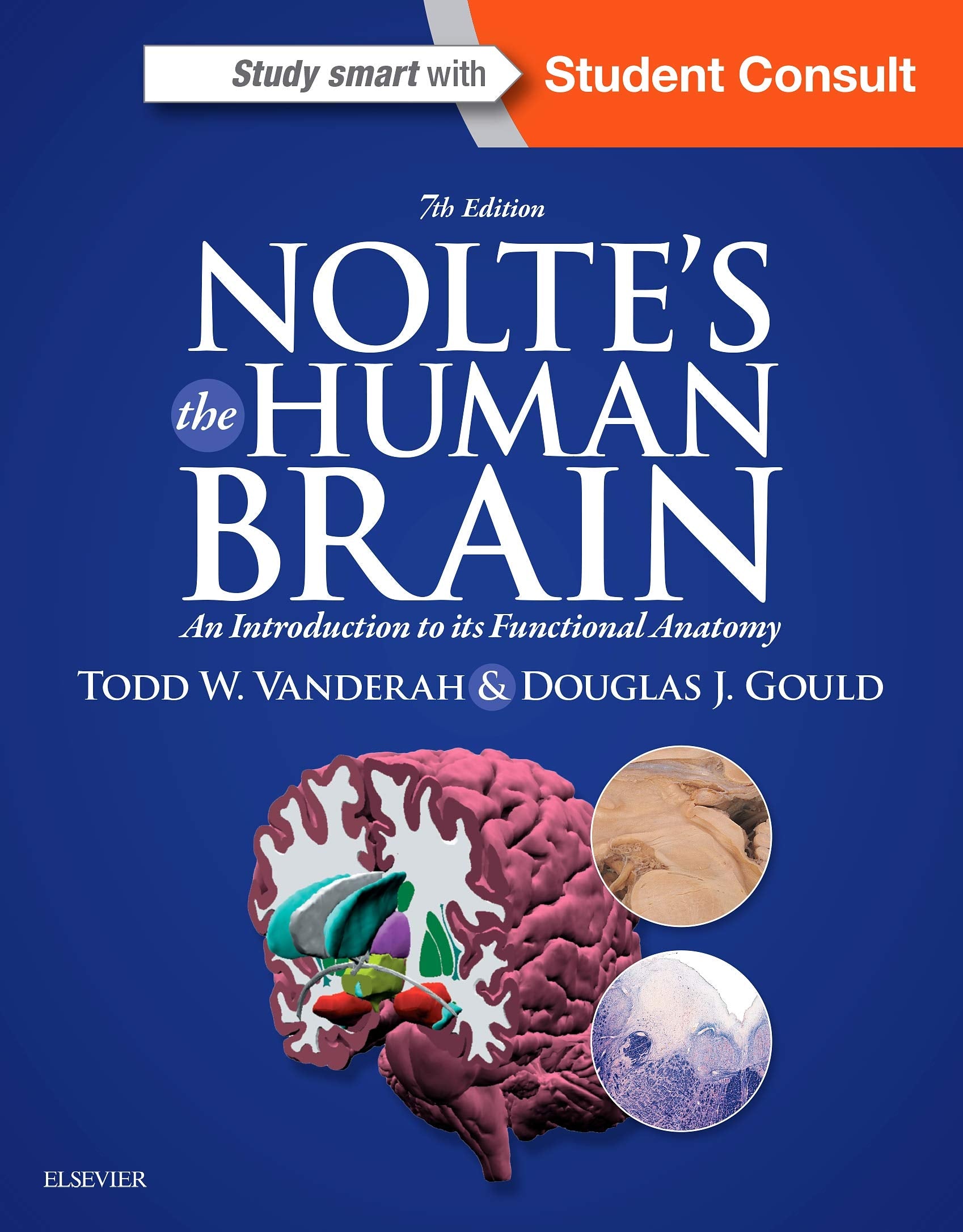 Nolte'S The Human Brain: An Introduction To Its Functional Anatomy
