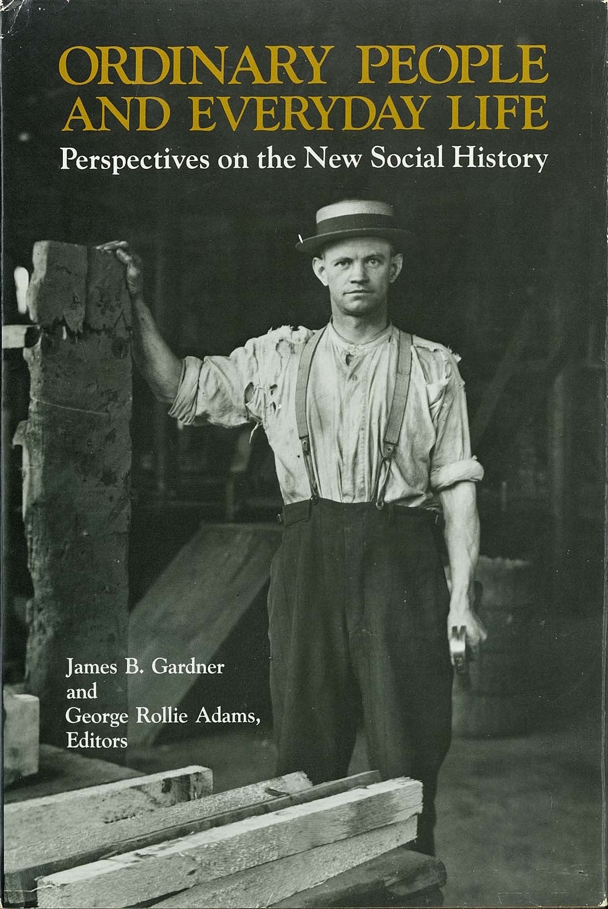 Ordinary People and Everyday Life: Perspectives on the New Social History,Used