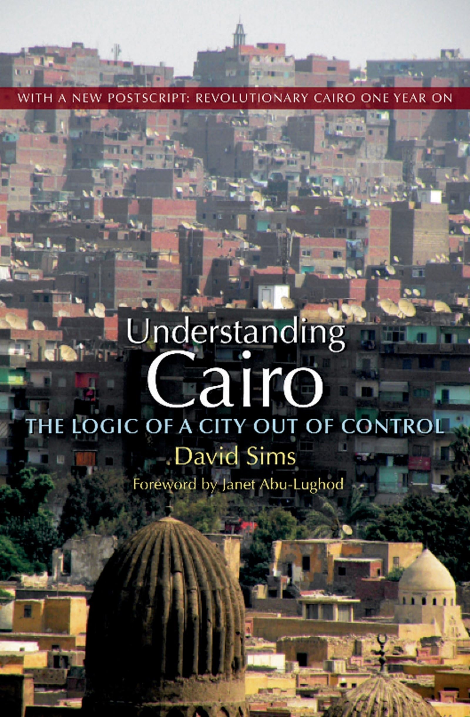 Understanding Cairo: The Logic of a City Out of Control,Used