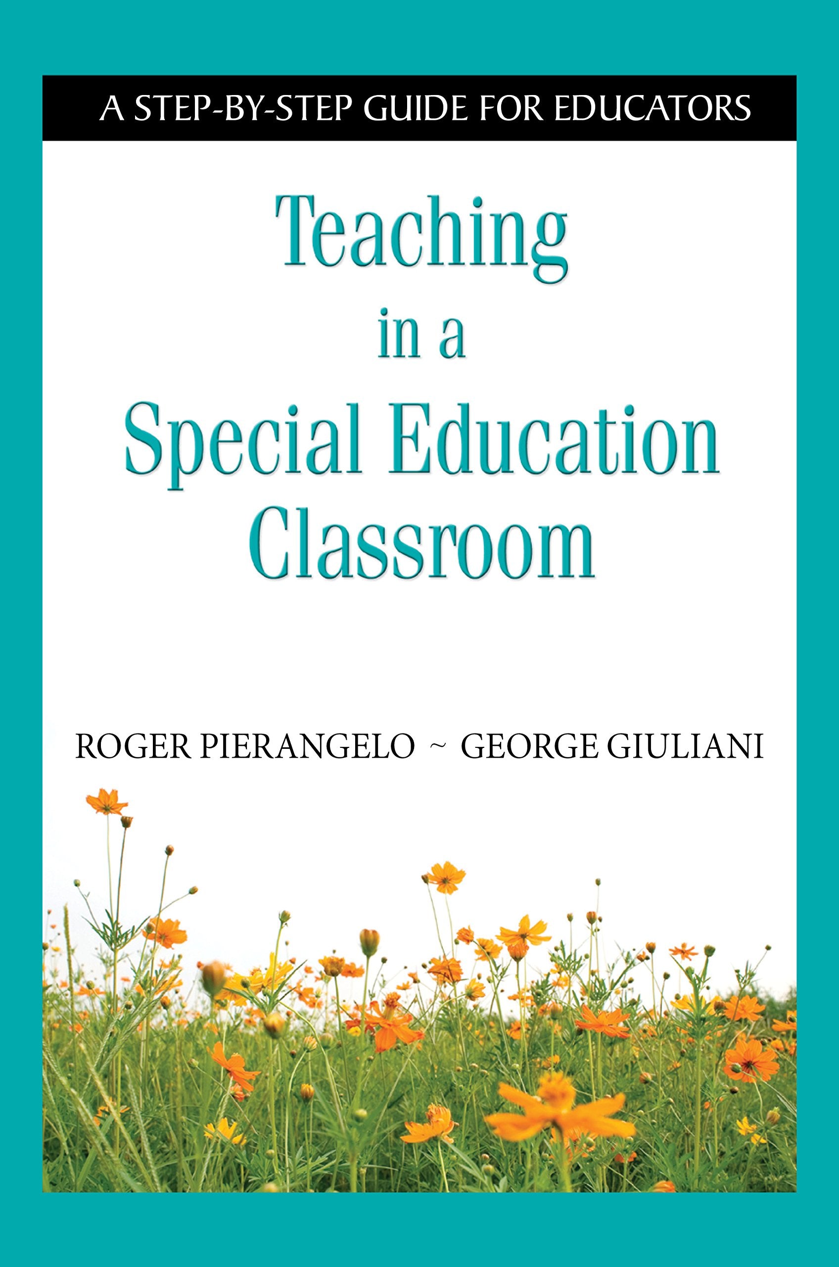Teaching in a Special Education Classroom: A StepbyStep Guide for Educators,Used