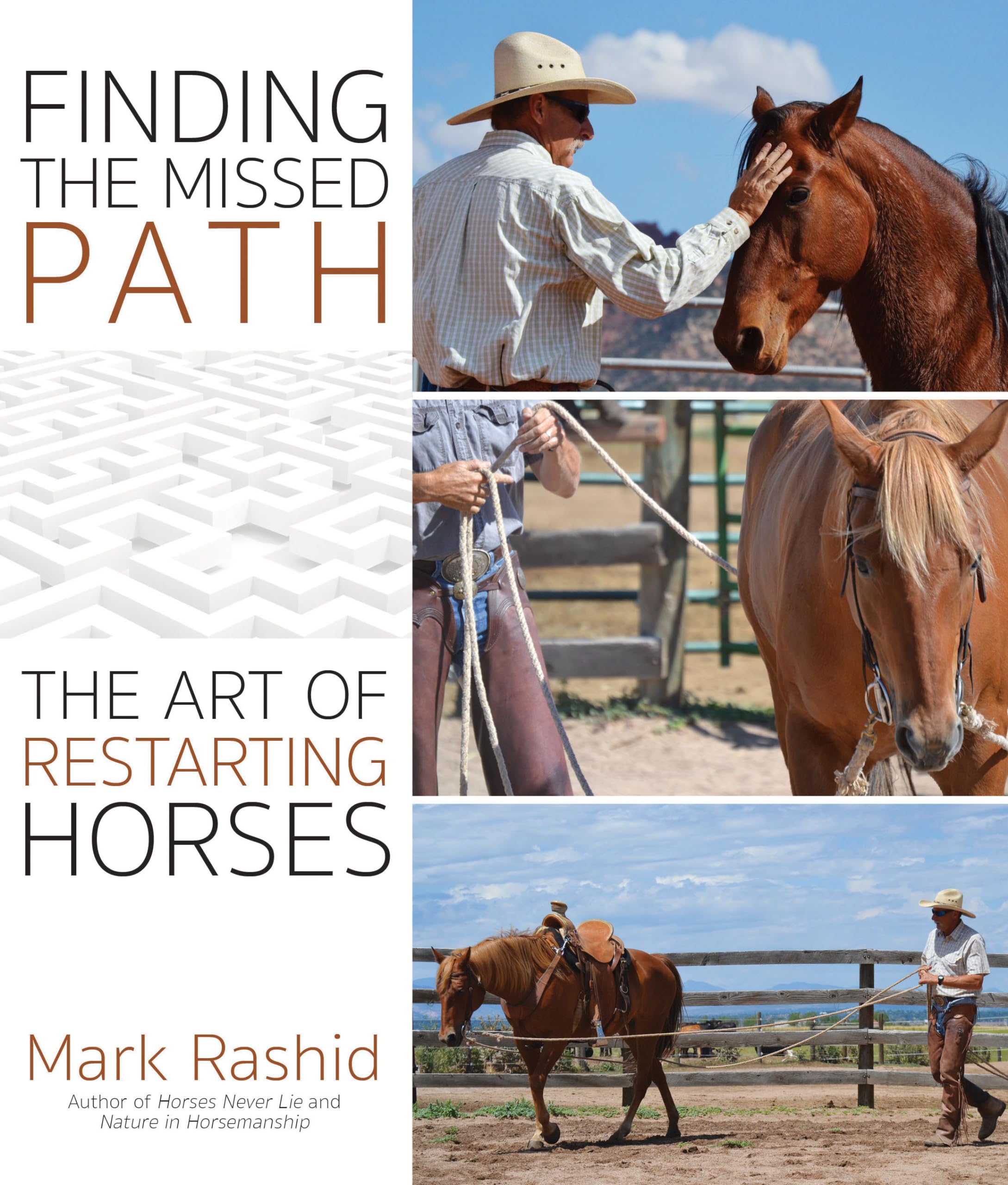 Finding the Missed Path: The Art of Restarting Horses,Used