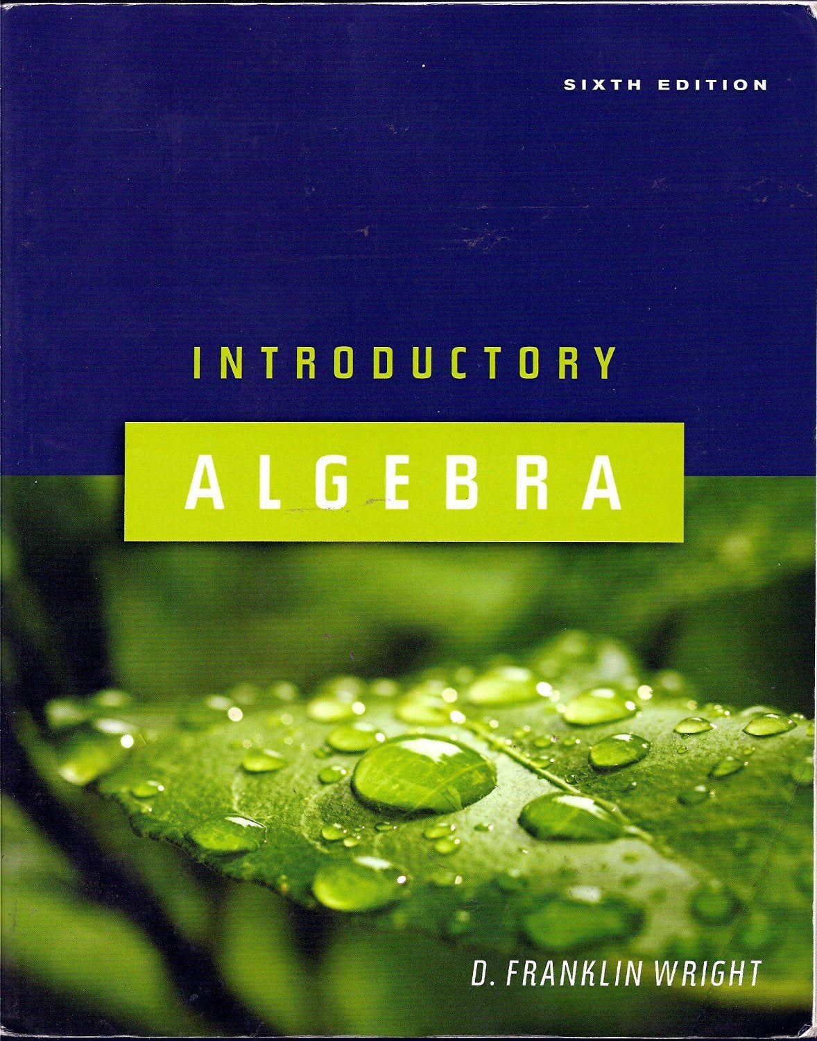 Introductory Algebra, 6th Edition,Used
