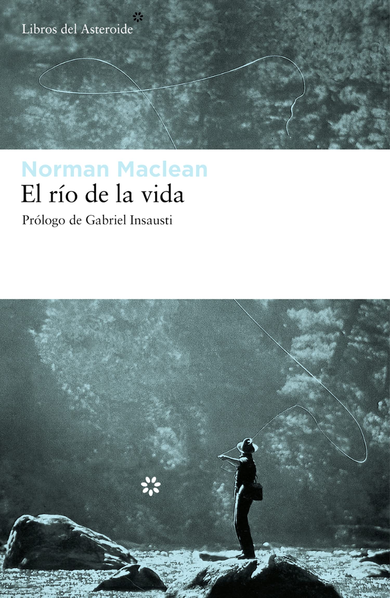 El ro de la vida (Spanish Edition),Used