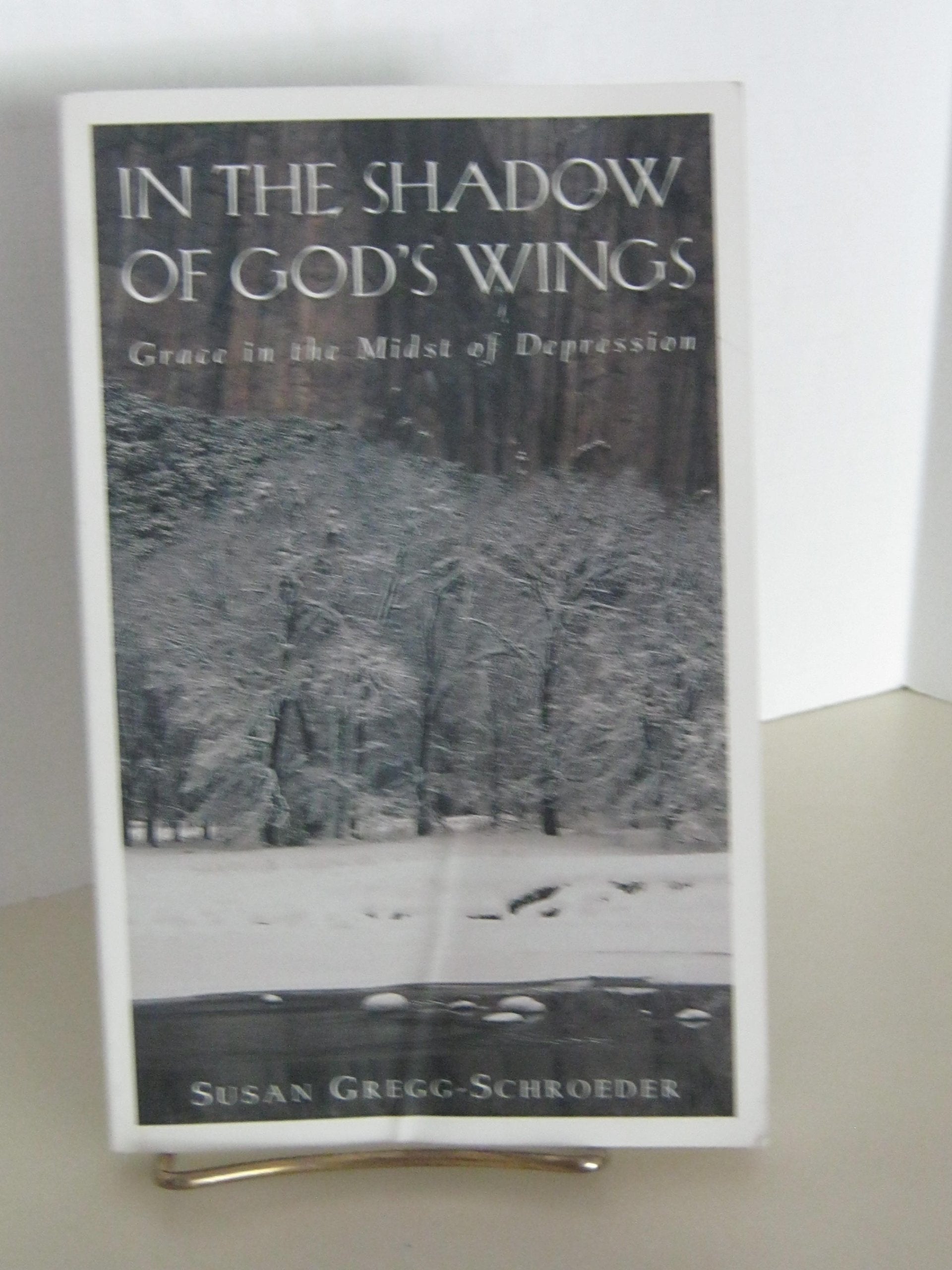 In the Shadow of God's Wings: Grace in the Midst of Depression,Used