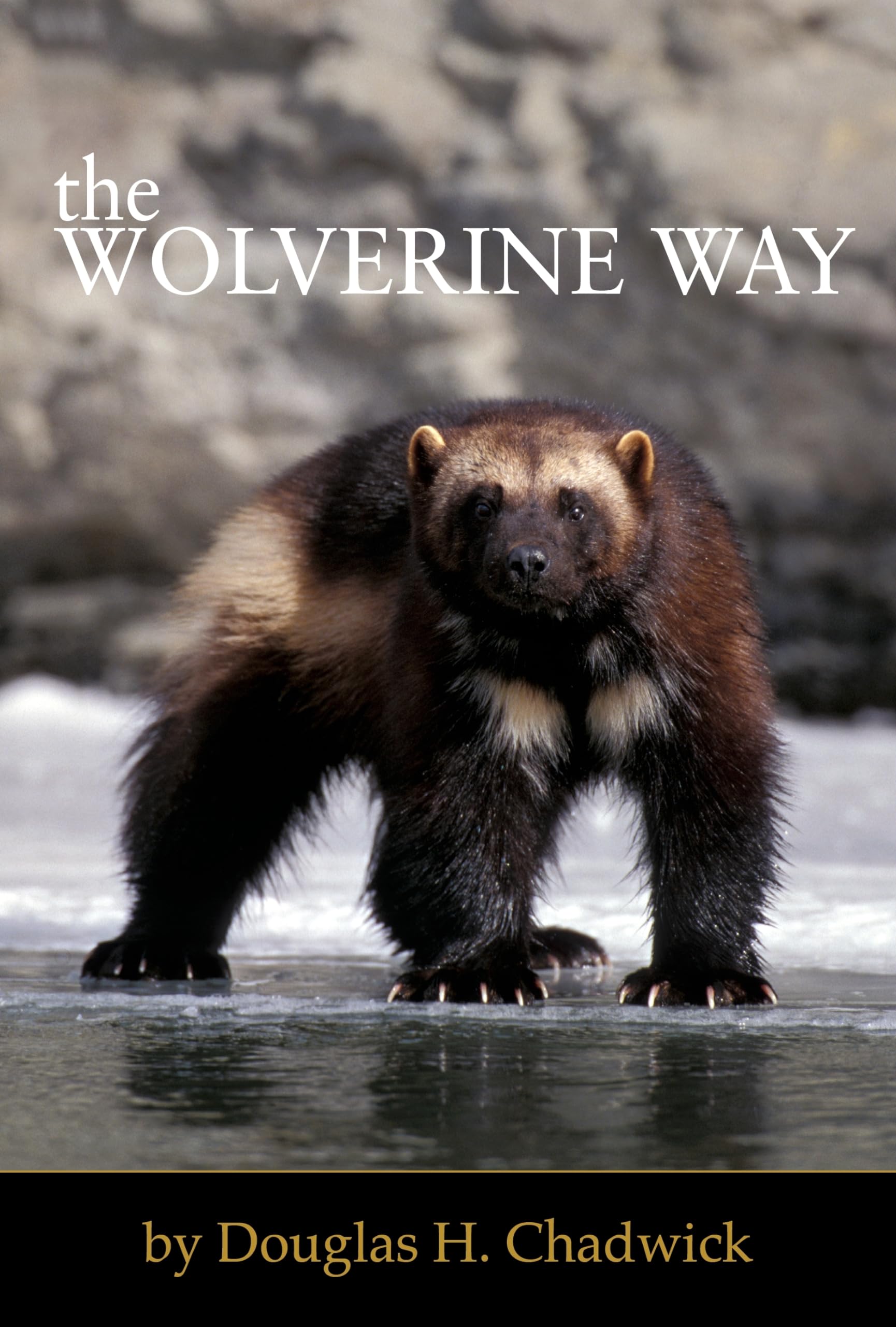 The Wolverine Way,Used