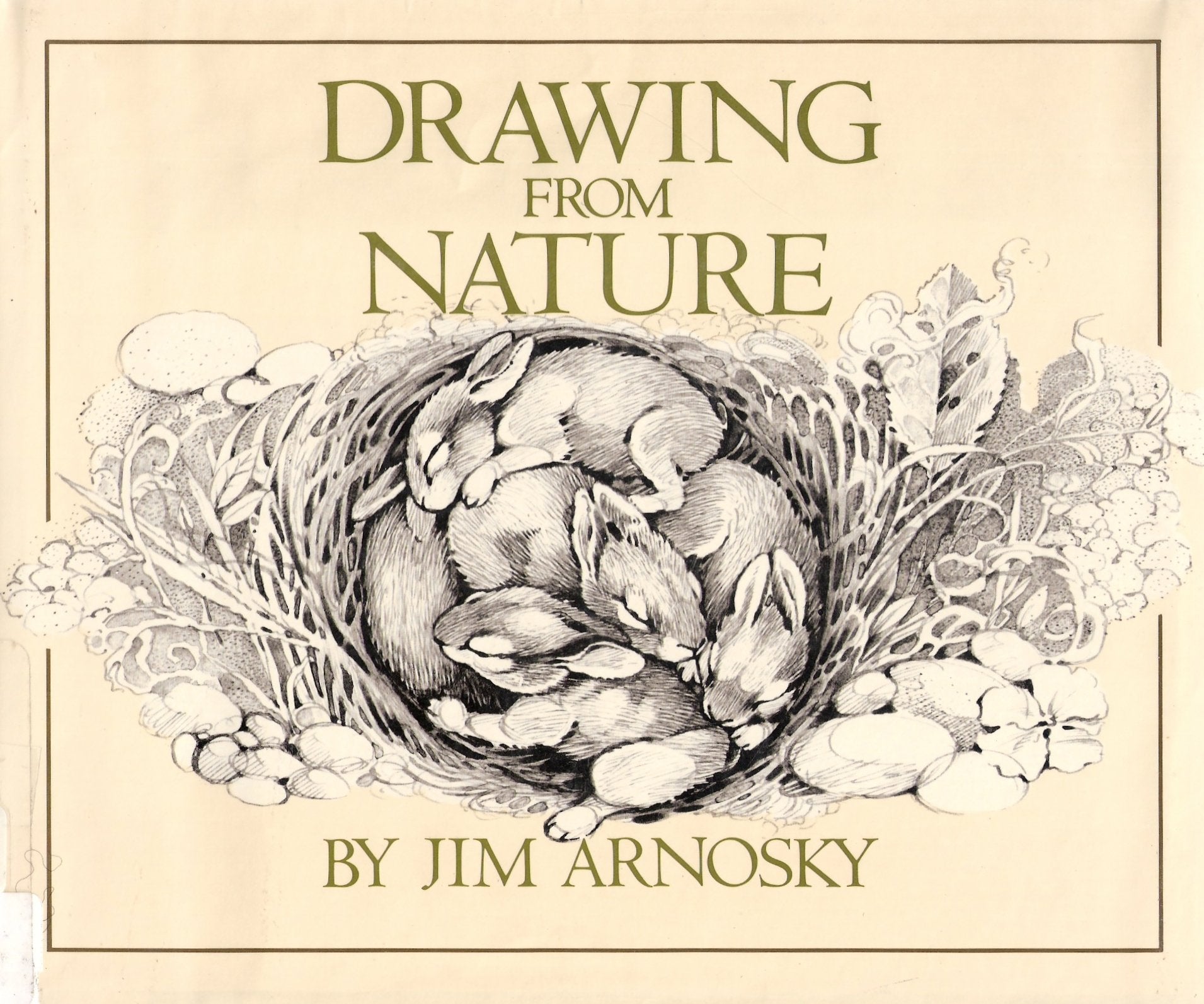 Drawing From Nature,New