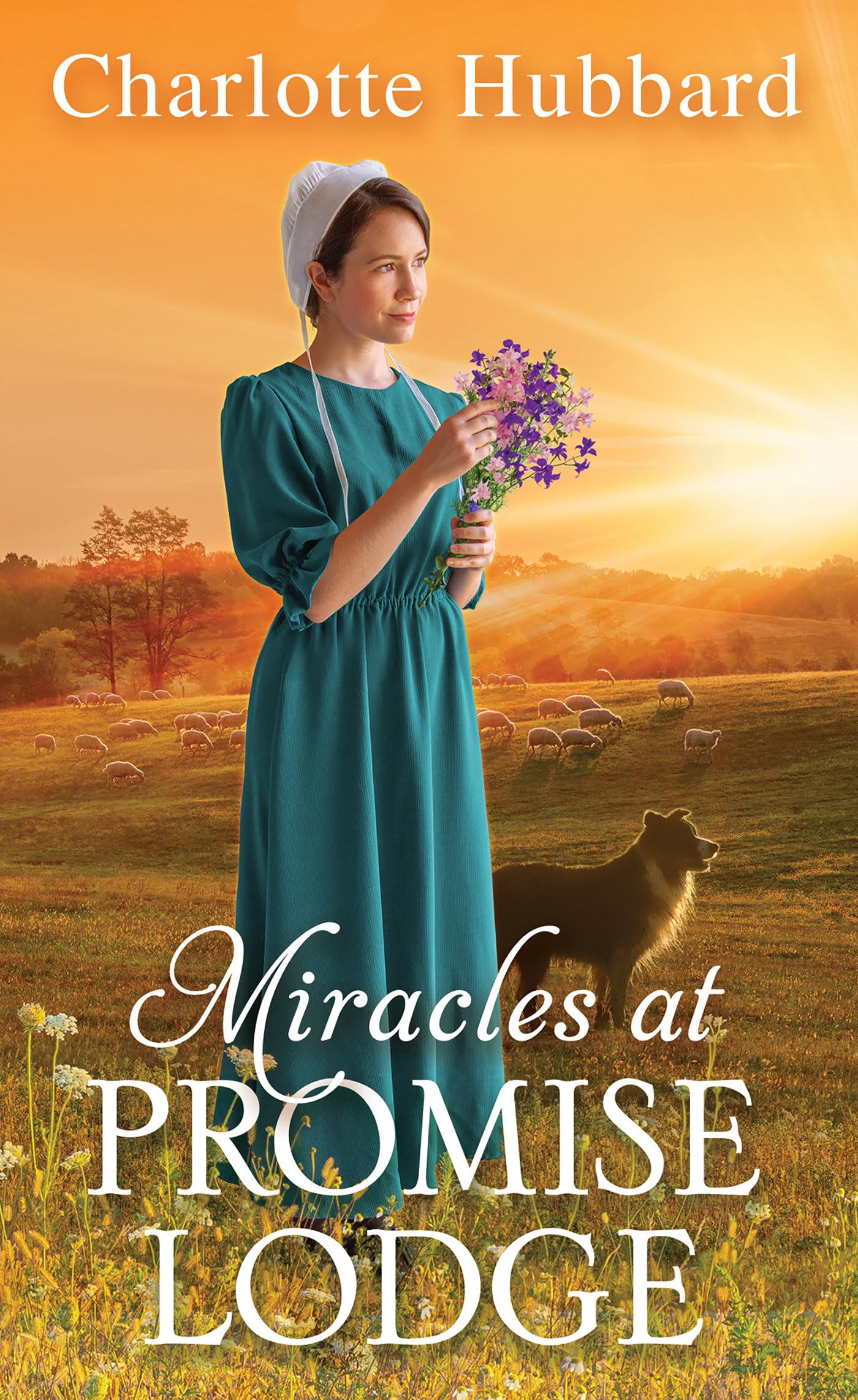 Miracles at Promise Lodge,Used