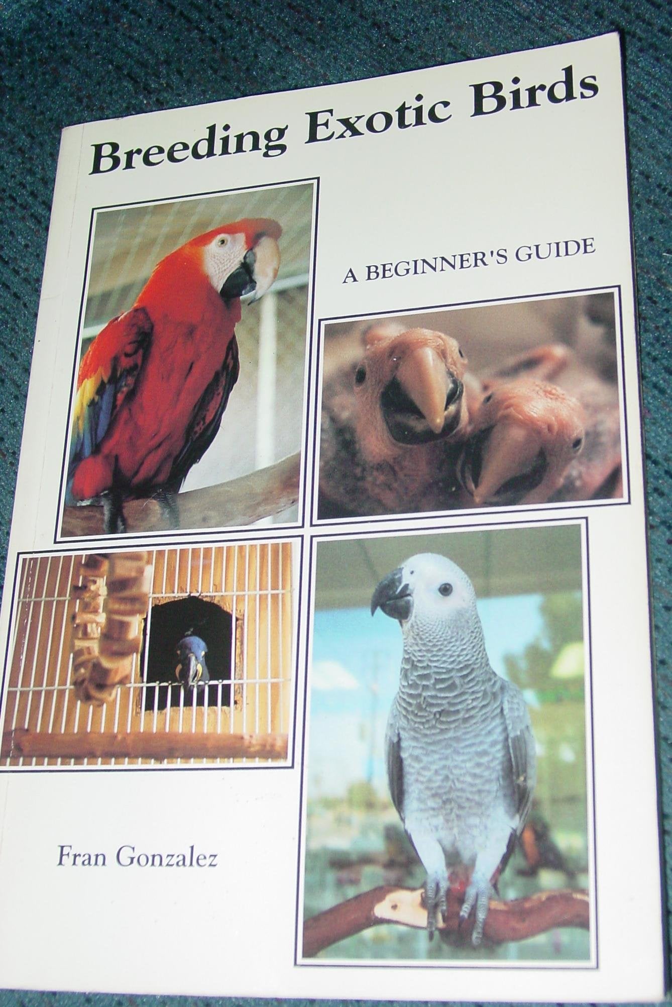 Breeding Exotic Birds: A Beginner's Guide,Used