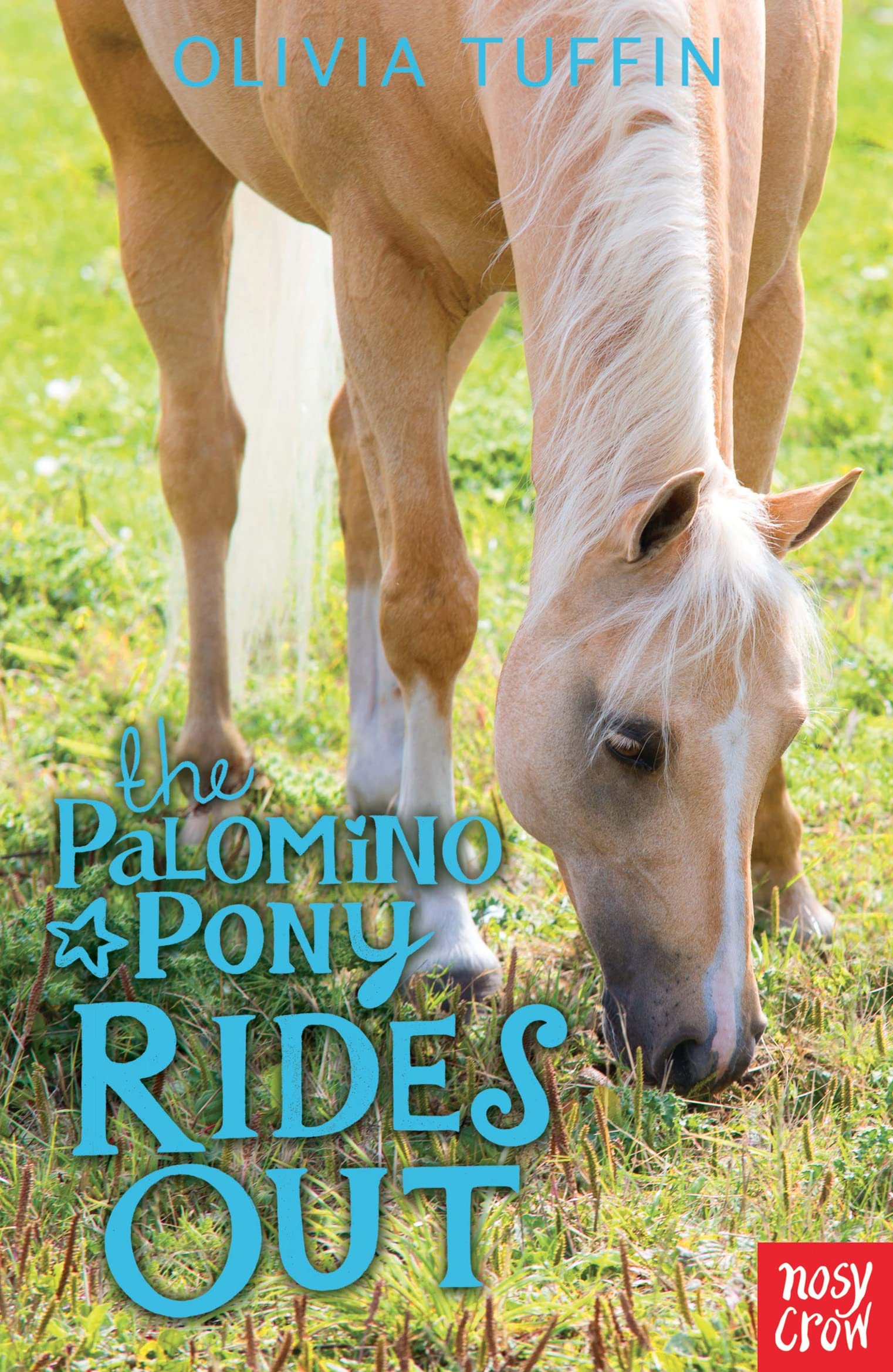 The Palomino Pony Rides Out,Used