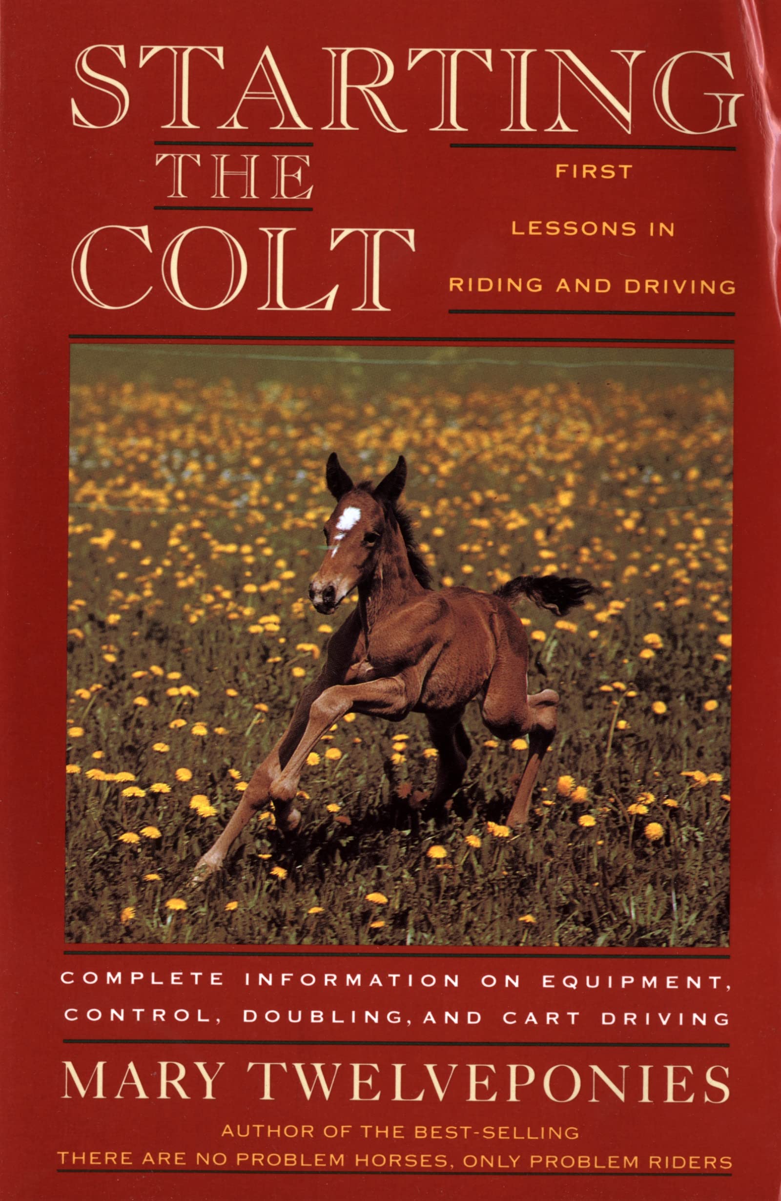 Starting The Colt (First Two Years Of Your Horse'S Life)