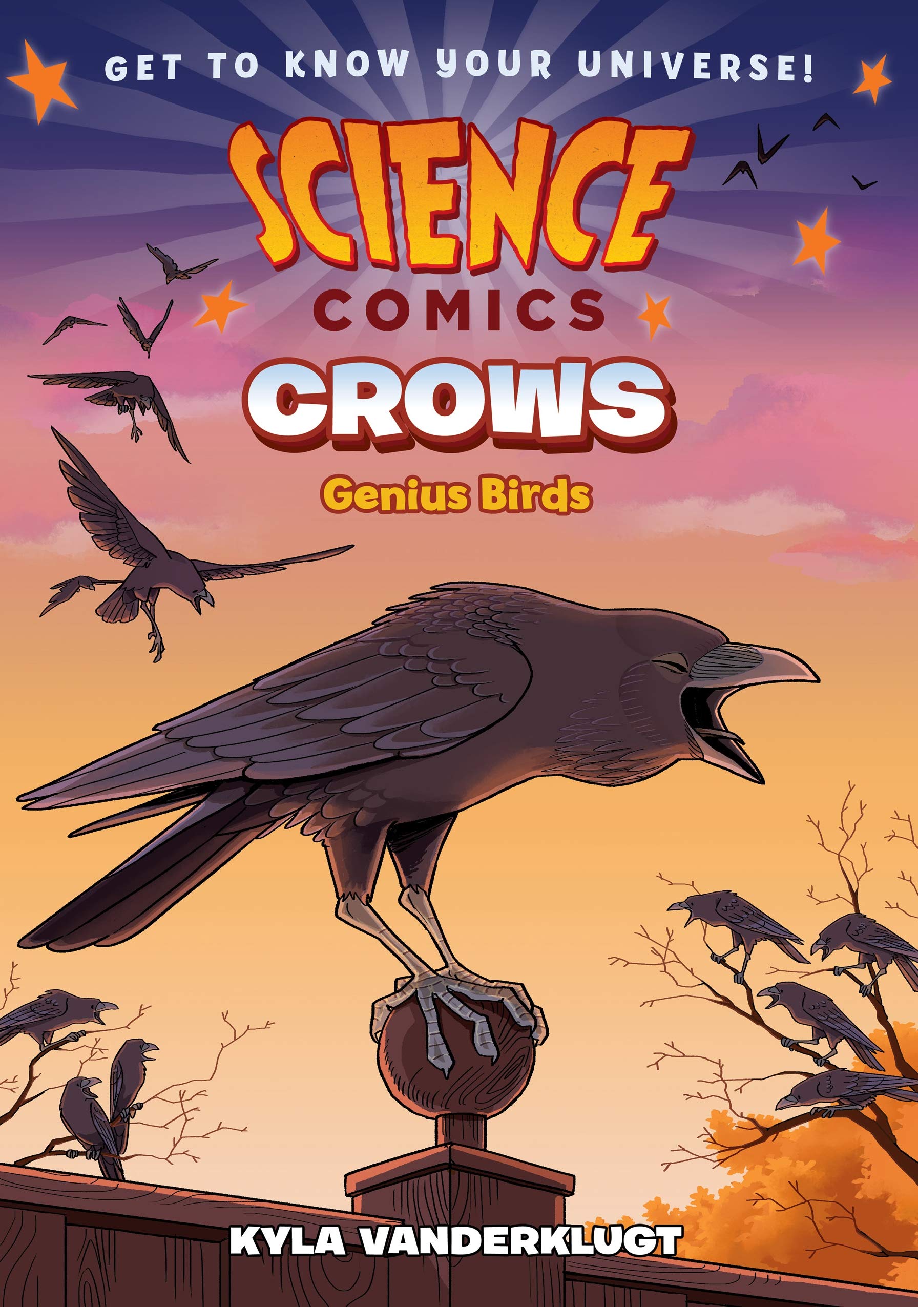 Science Comics: Crows: Genius Birds,Used
