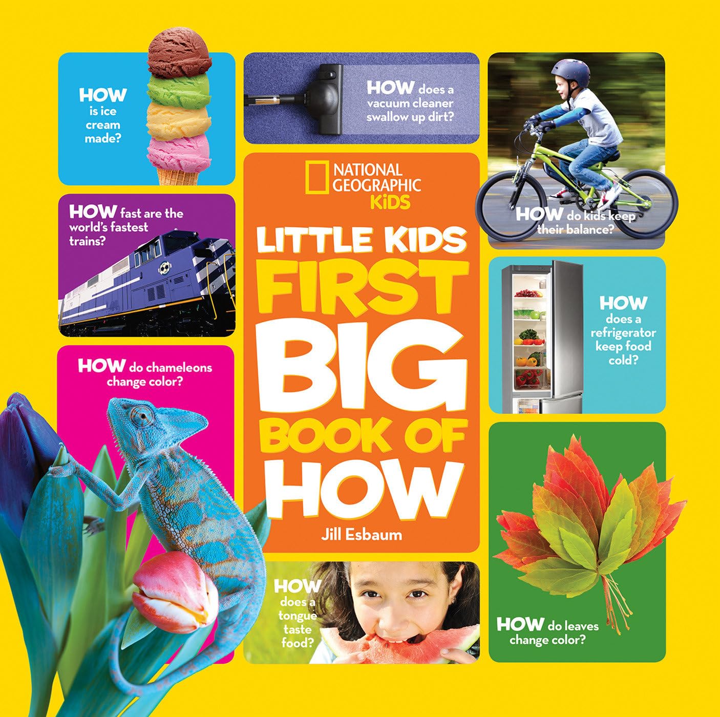 National Geographic Little Kids First Big Book Of How (National Geographic Little Kids First Big Books),Used