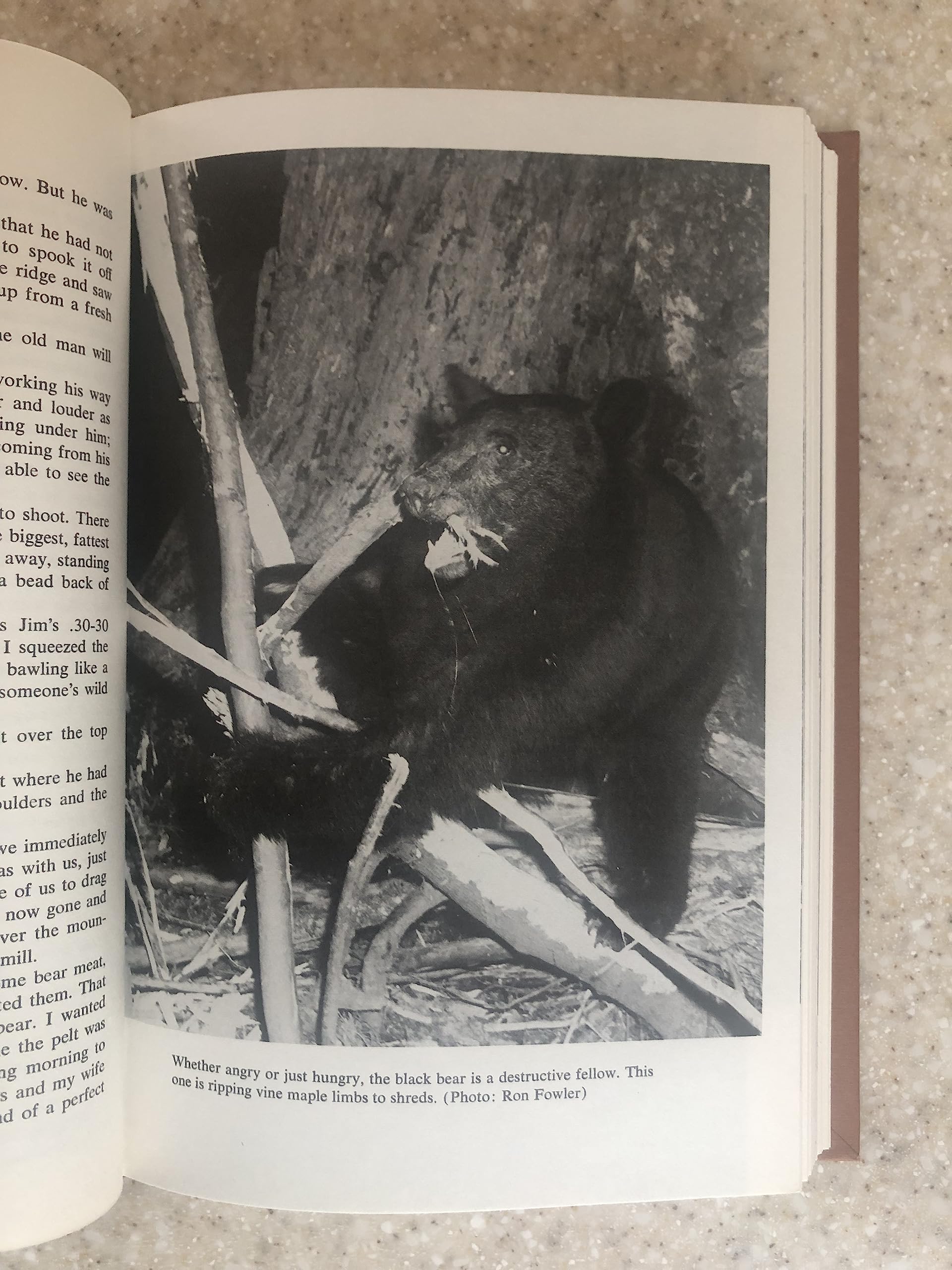 The Education of a Bear Hunter,Used