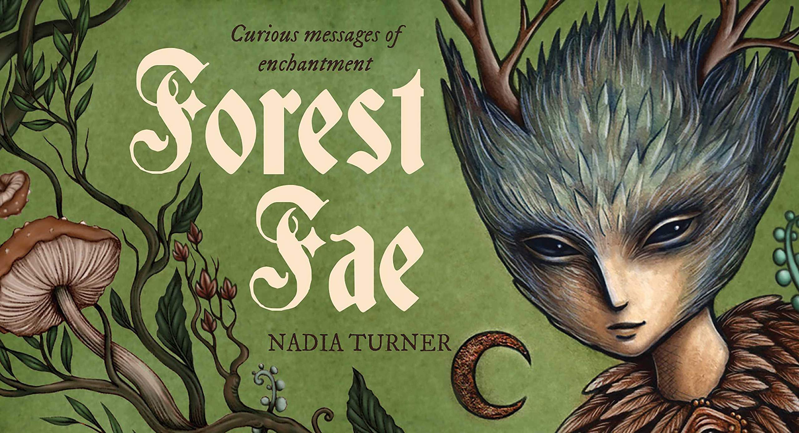 Forest Fae: Curious messages of enchantment (Rockpool Mini Cards),Used