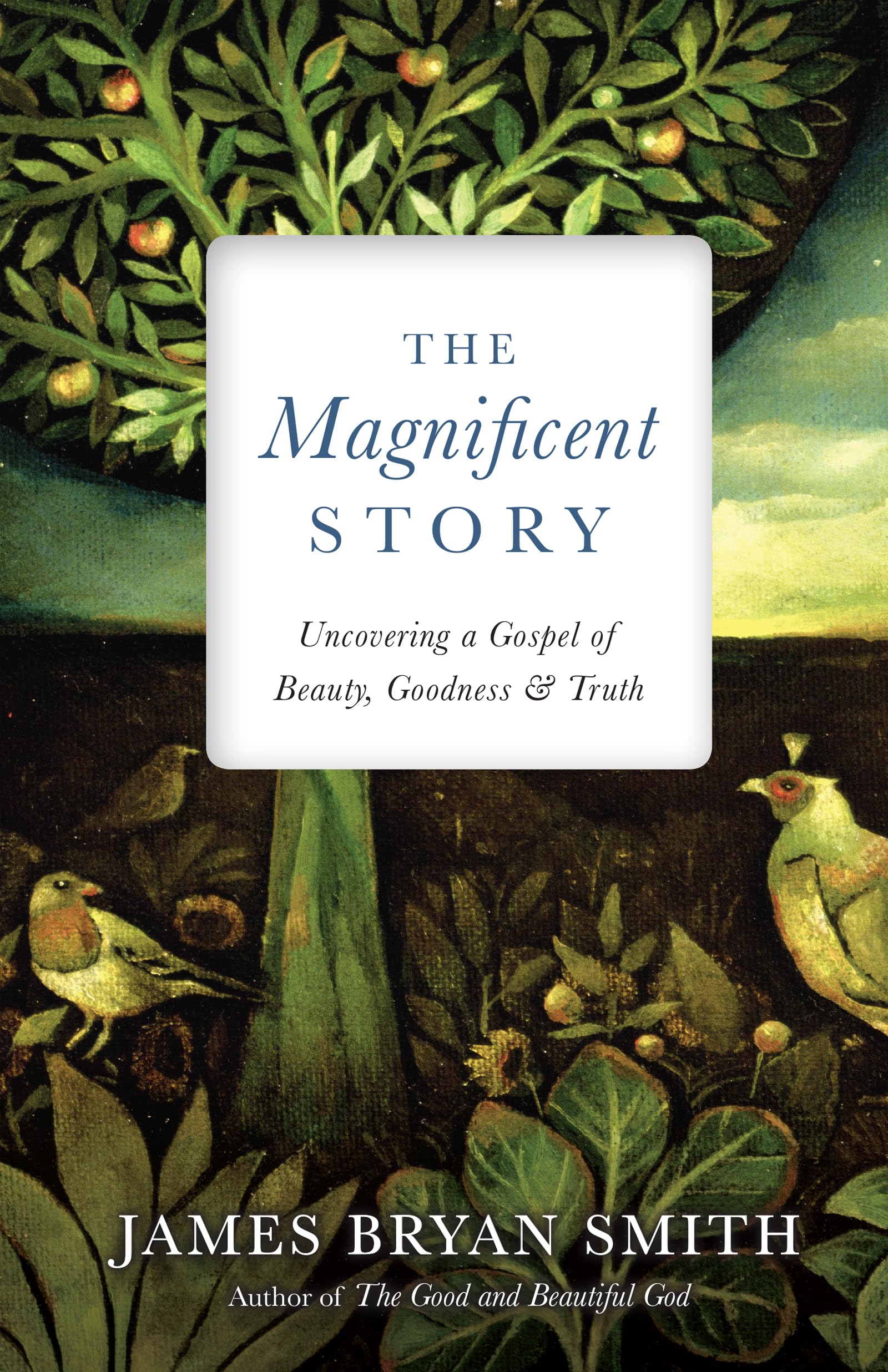 The Magnificent Story: Uncovering A Gospel Of Beauty, Goodness, And Truth (Apprentice Resources),New