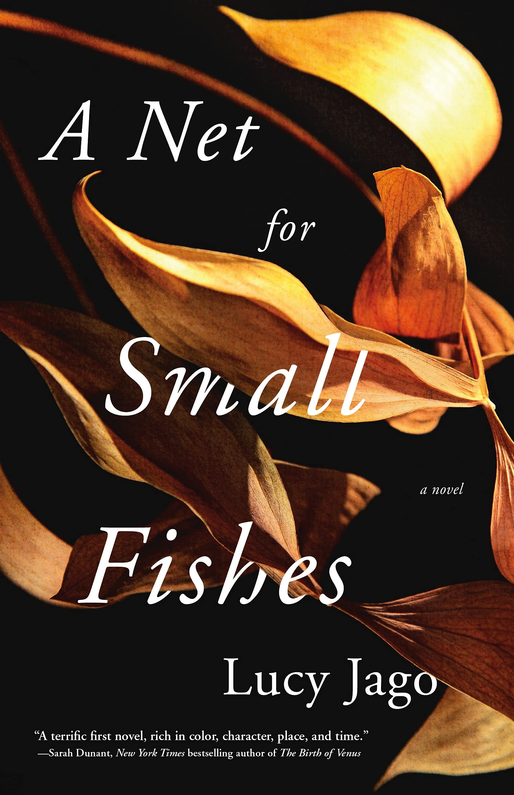 A Net for Small Fishes: A Novel,Used