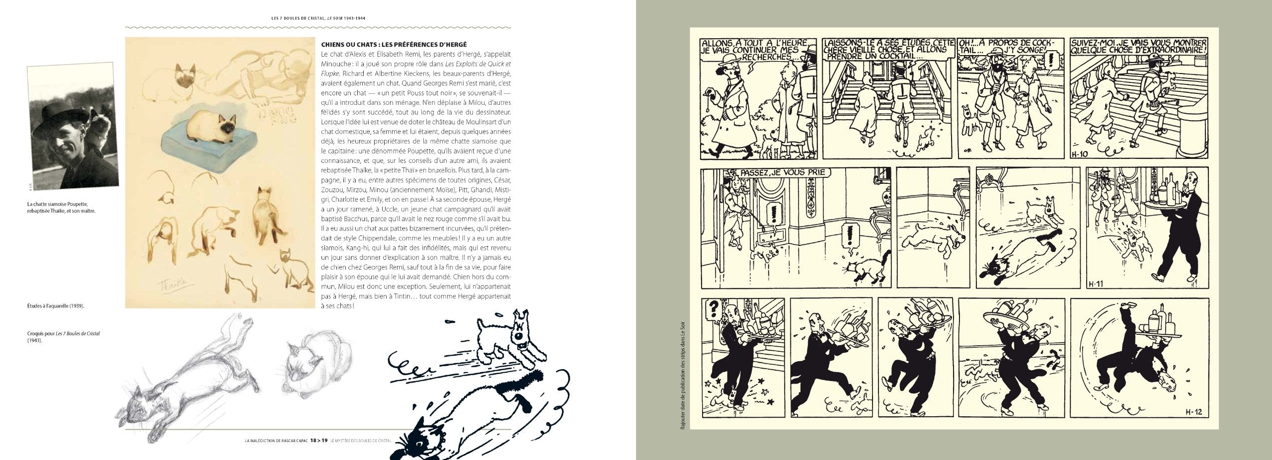 Les aventures de Tintin ; La malediction de Rascar Capac : Le mystere des boules de cristal (French Edition),Used