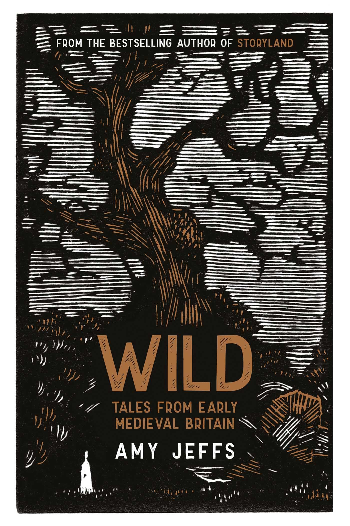 Wild: Tales From Early Medieval Britain,Used
