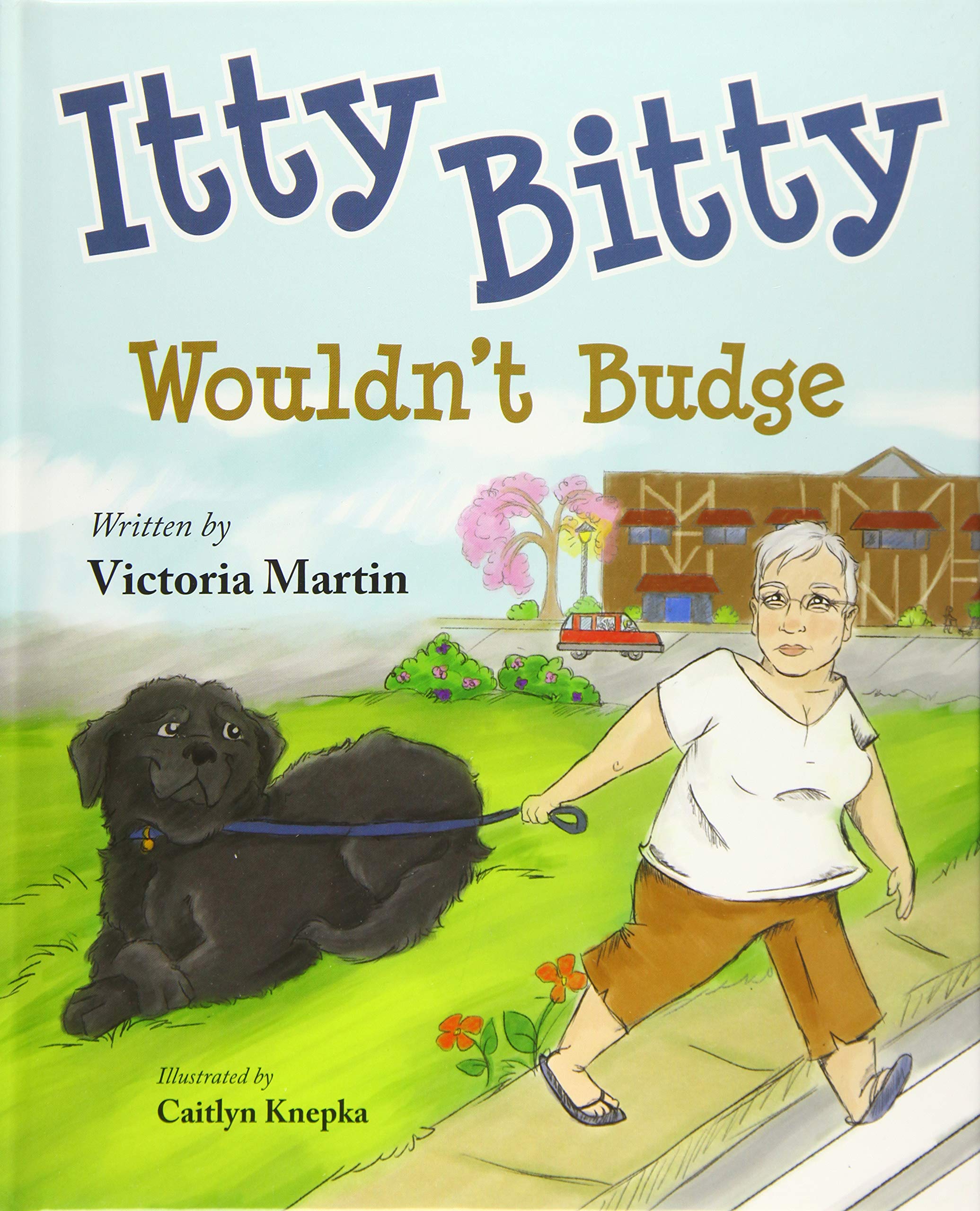 Itty Bitty Wouldn't Budge,Used