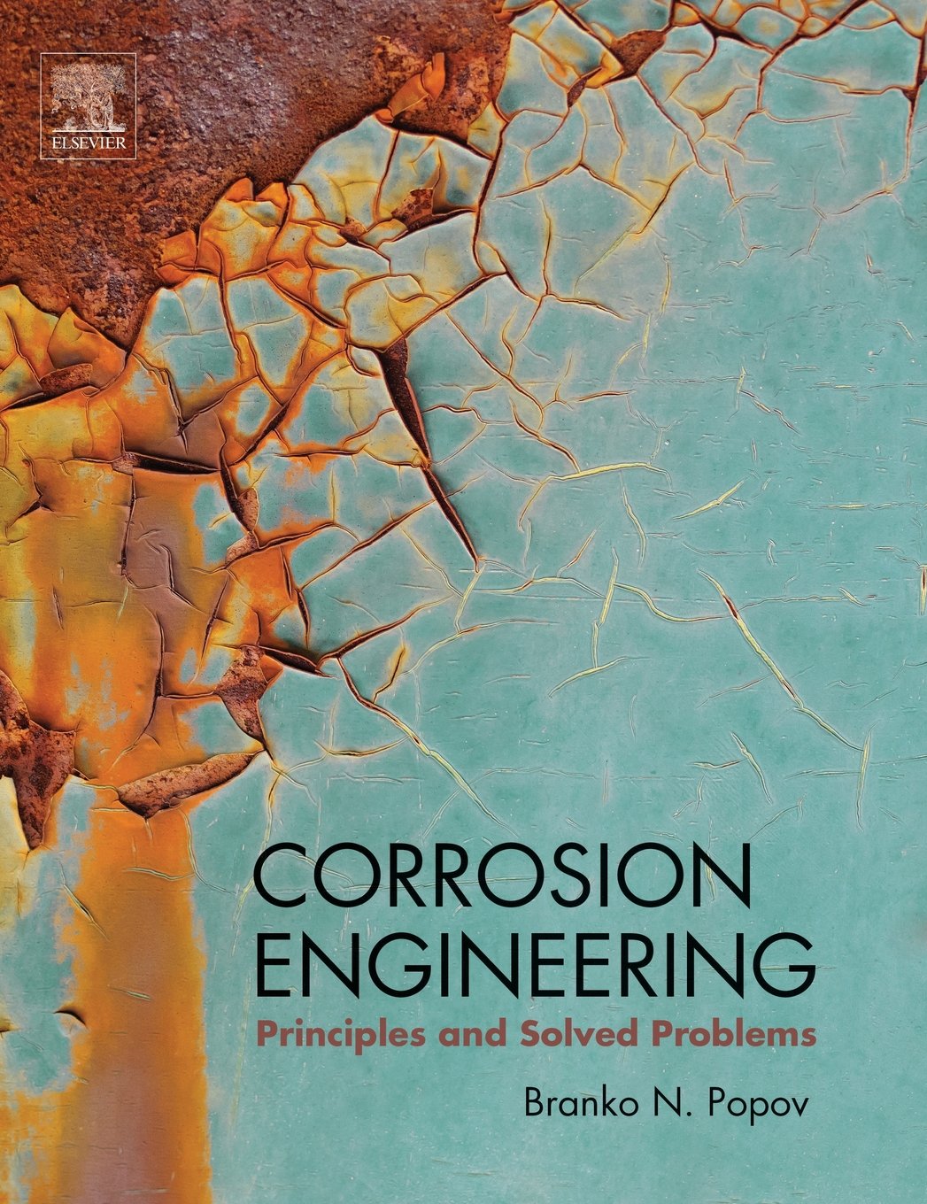 Corrosion Engineering: Principles and Solved Problems,Used