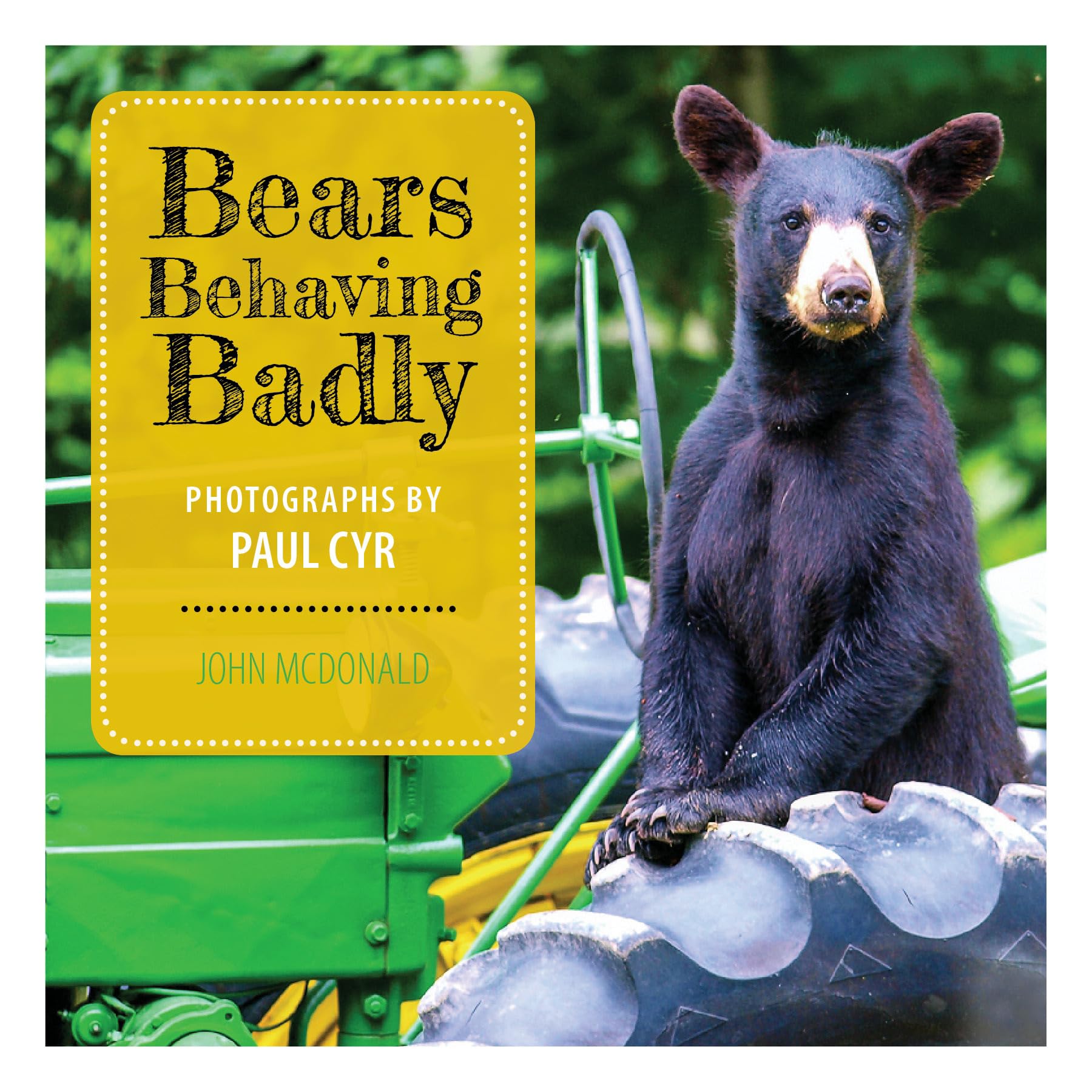 Bears Behaving Badly,Used