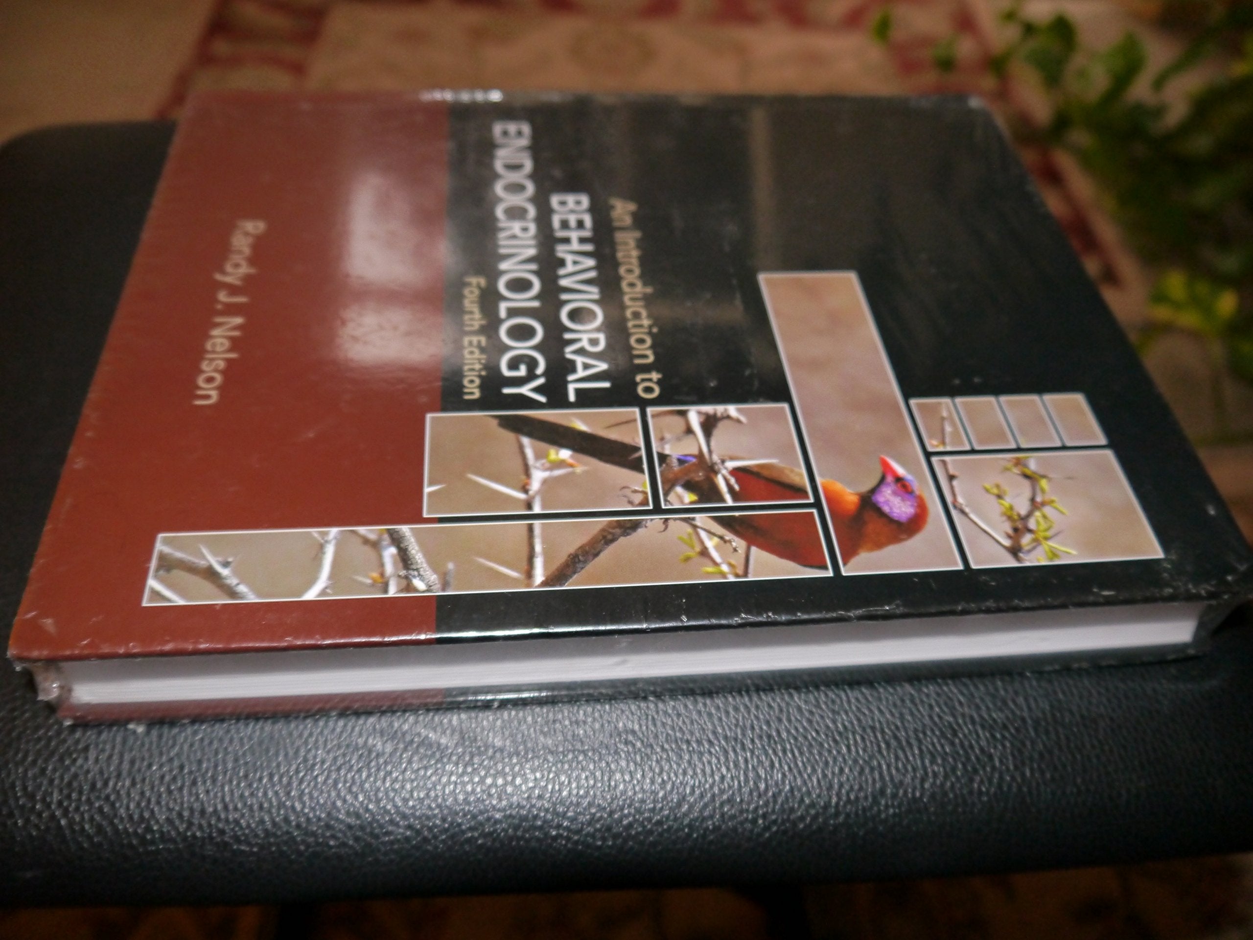 An Introduction To Behavioral Endocrinology,Used