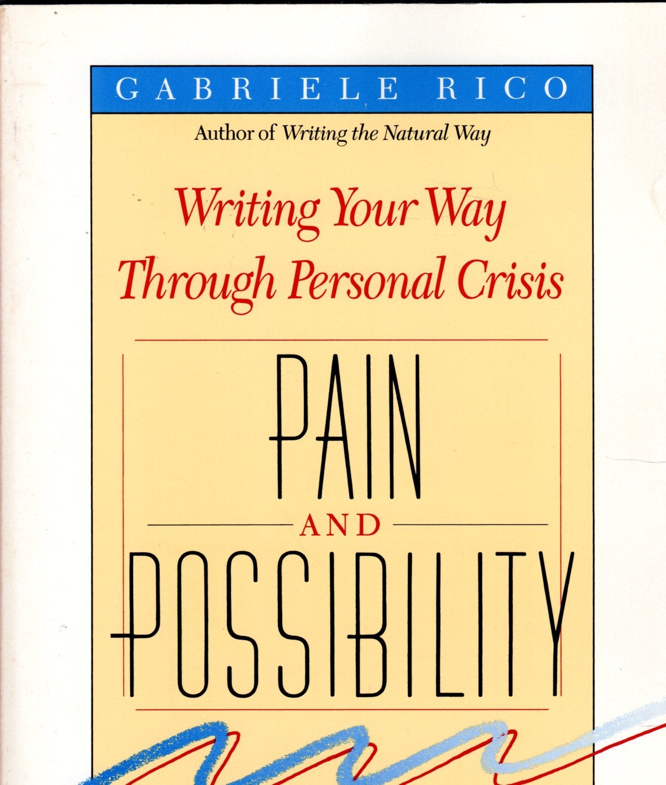 Pain & Possibility C,Used
