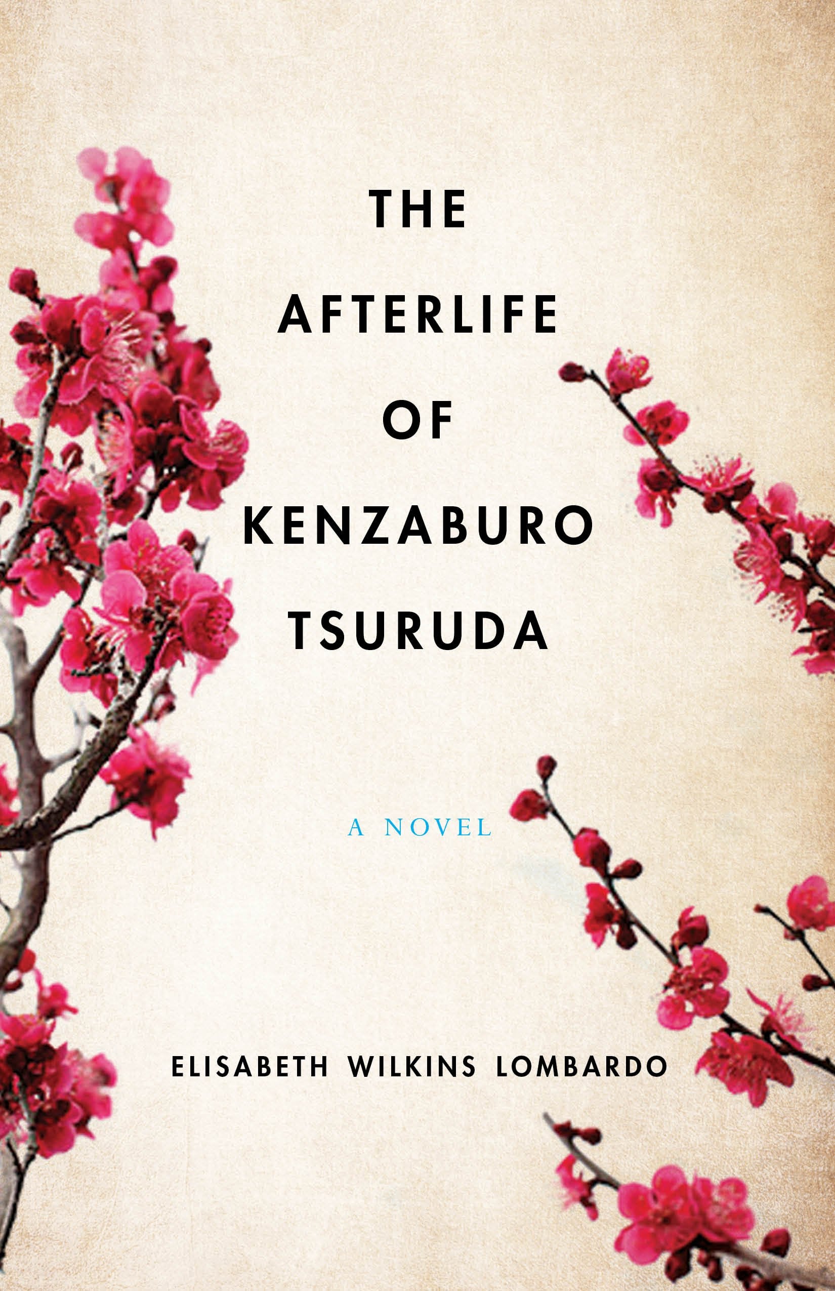 The Afterlife of Kenzaburo Tsuruda: A Novel,Used