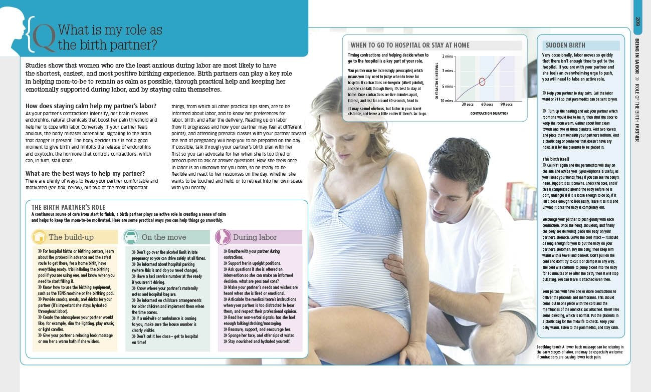The Pregnancy Encyclopedia: All Your Questions Answered,New