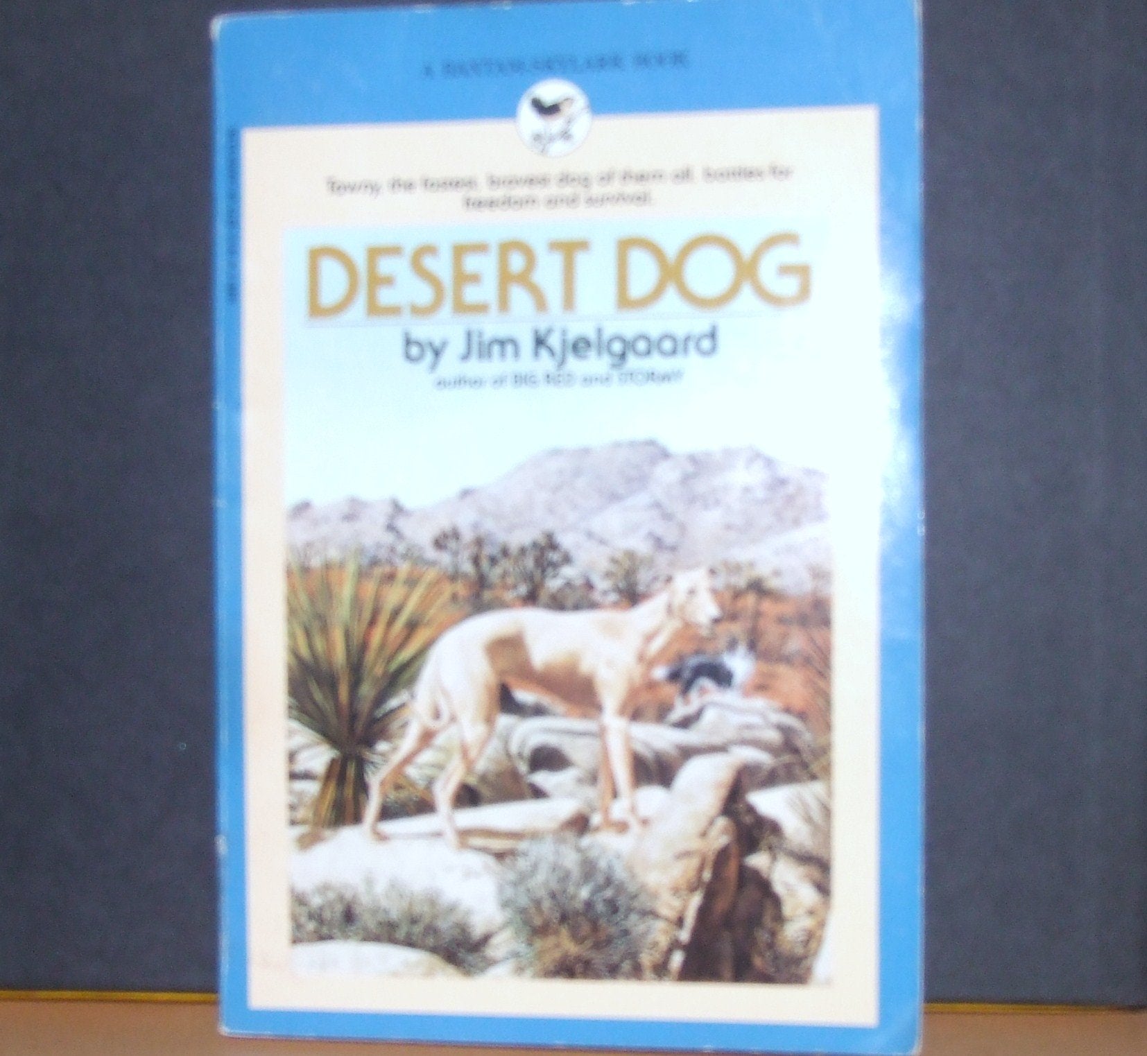 Desert Dog,Used