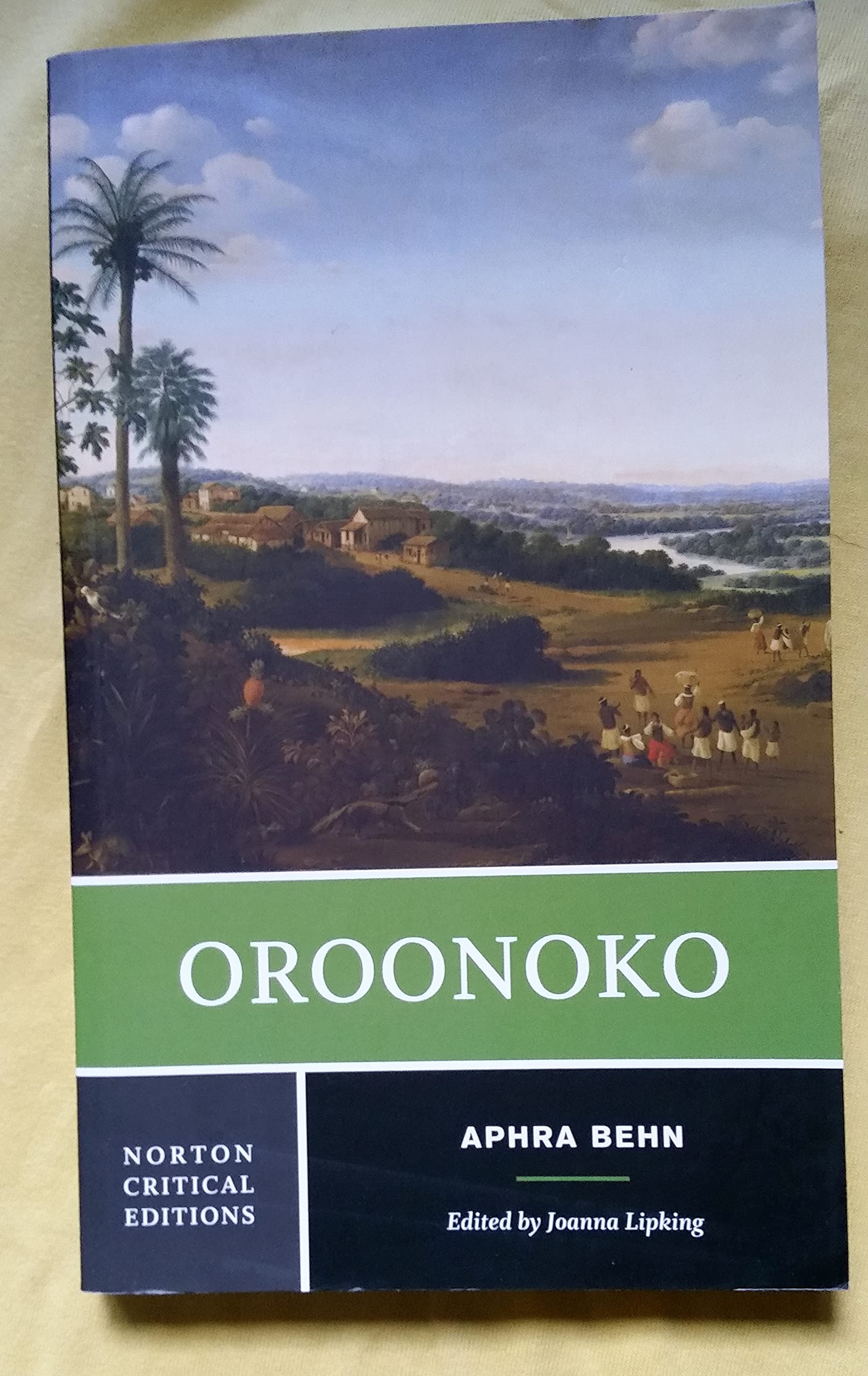 Oroonoko (Norton Critical Editions),Used