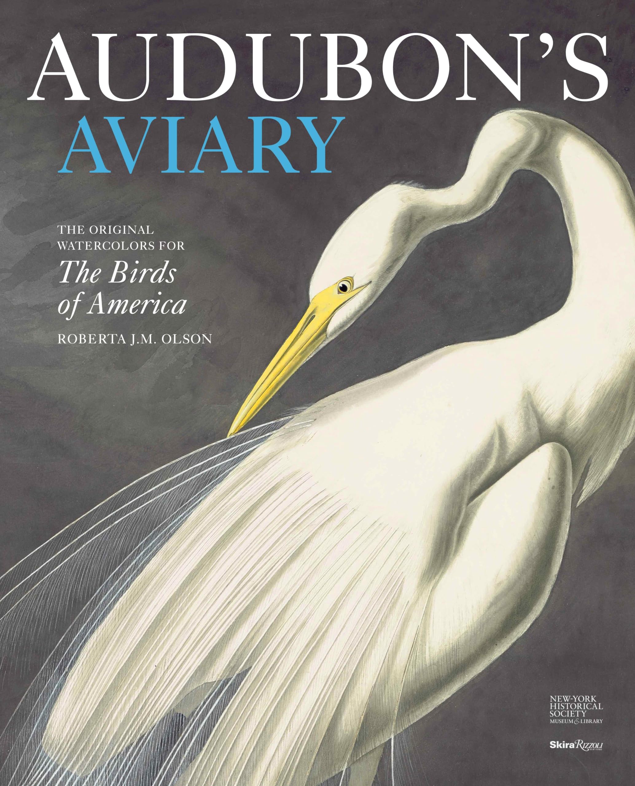Audubon's Aviary: The Original Watercolors for The Birds of America,Used