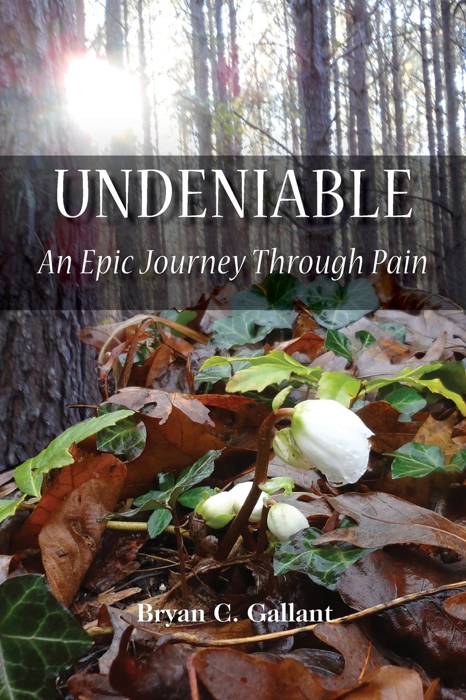 Undeniable: An Epic Journey Through Pain,Used