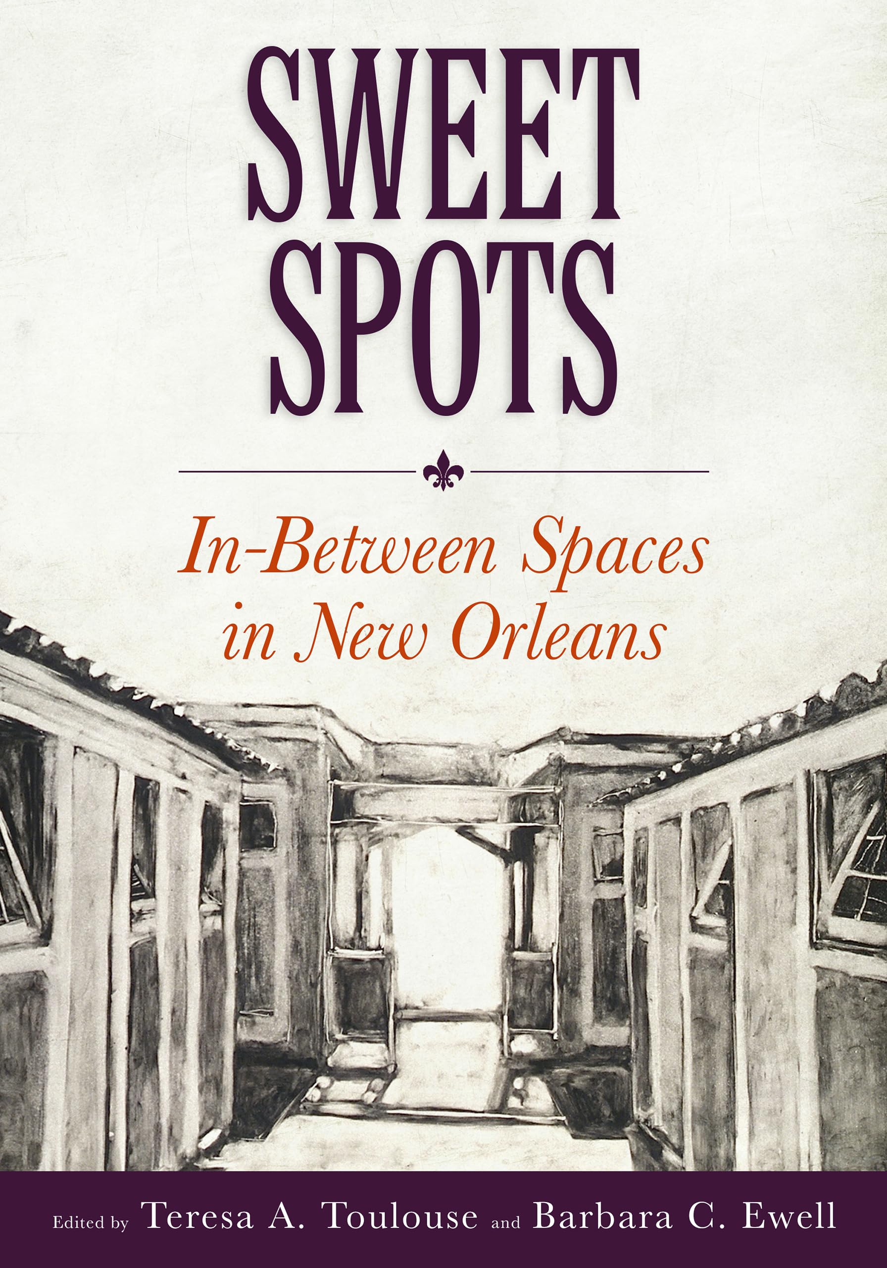 Sweet Spots: InBetween Spaces in New Orleans,Used