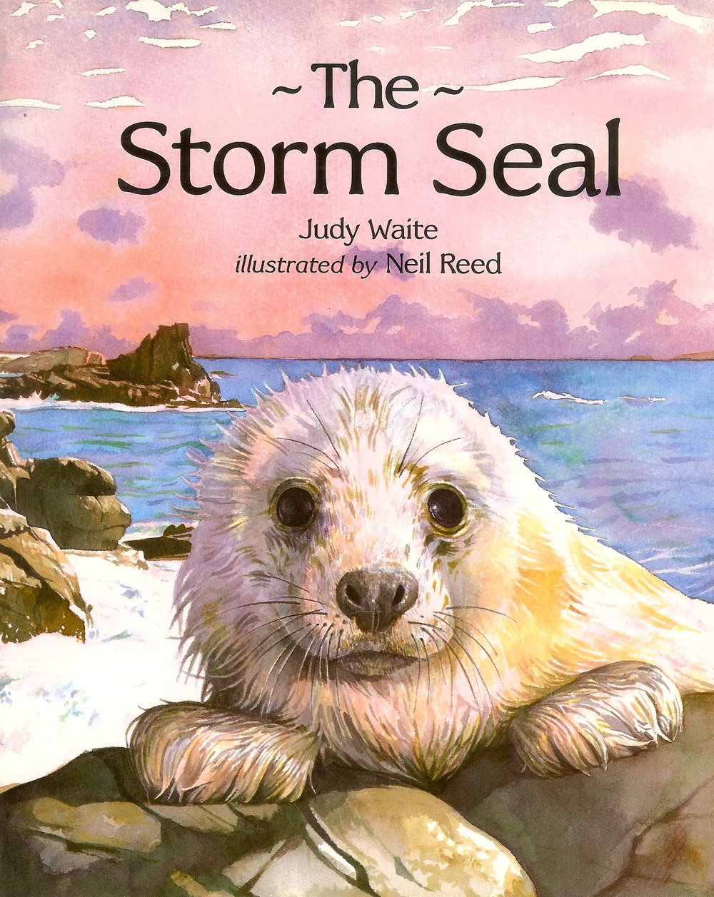 The Storm Seal,Used