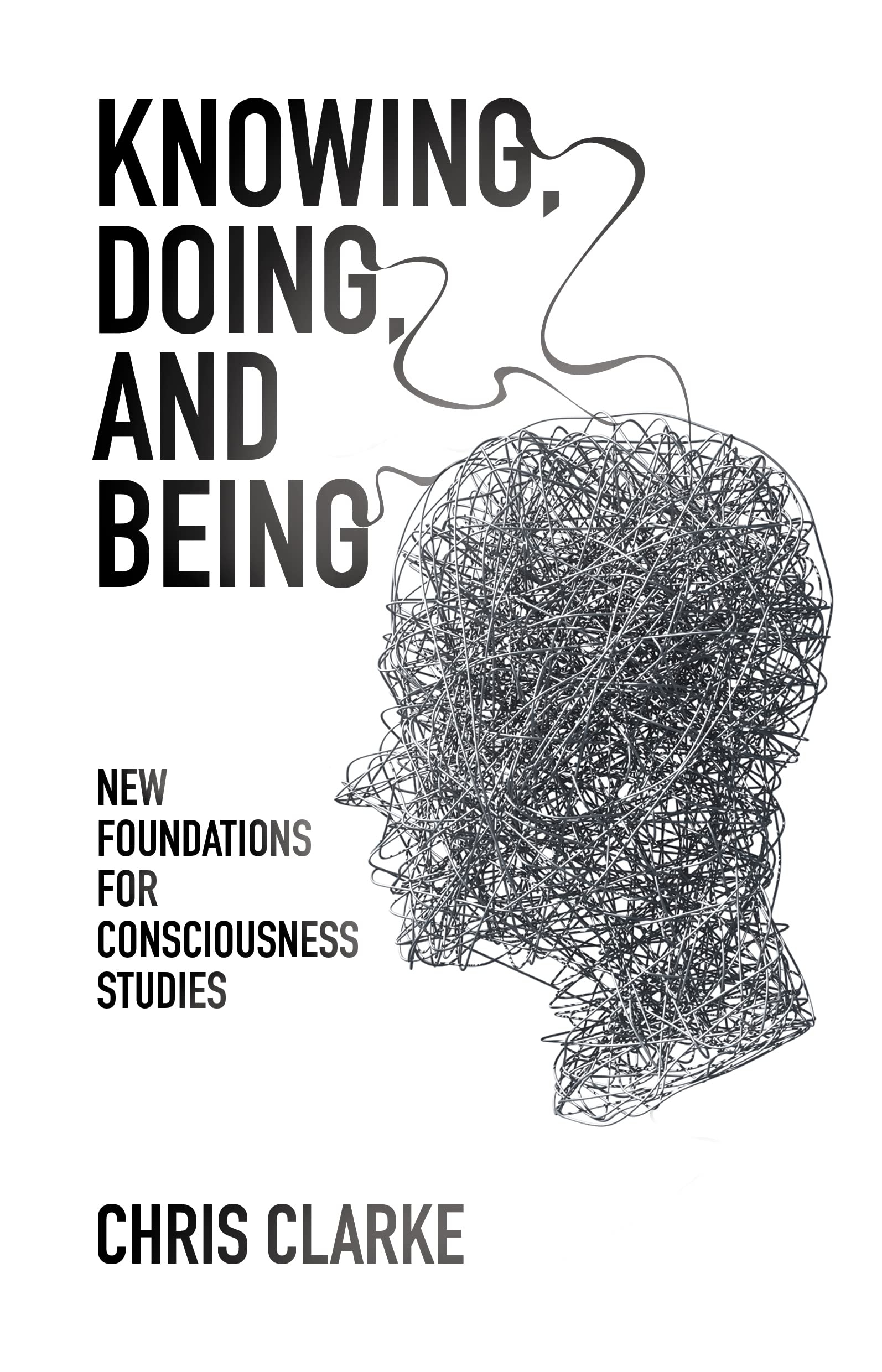 Knowing, Doing, and Being: New Foundations for Consciousness Studies,Used
