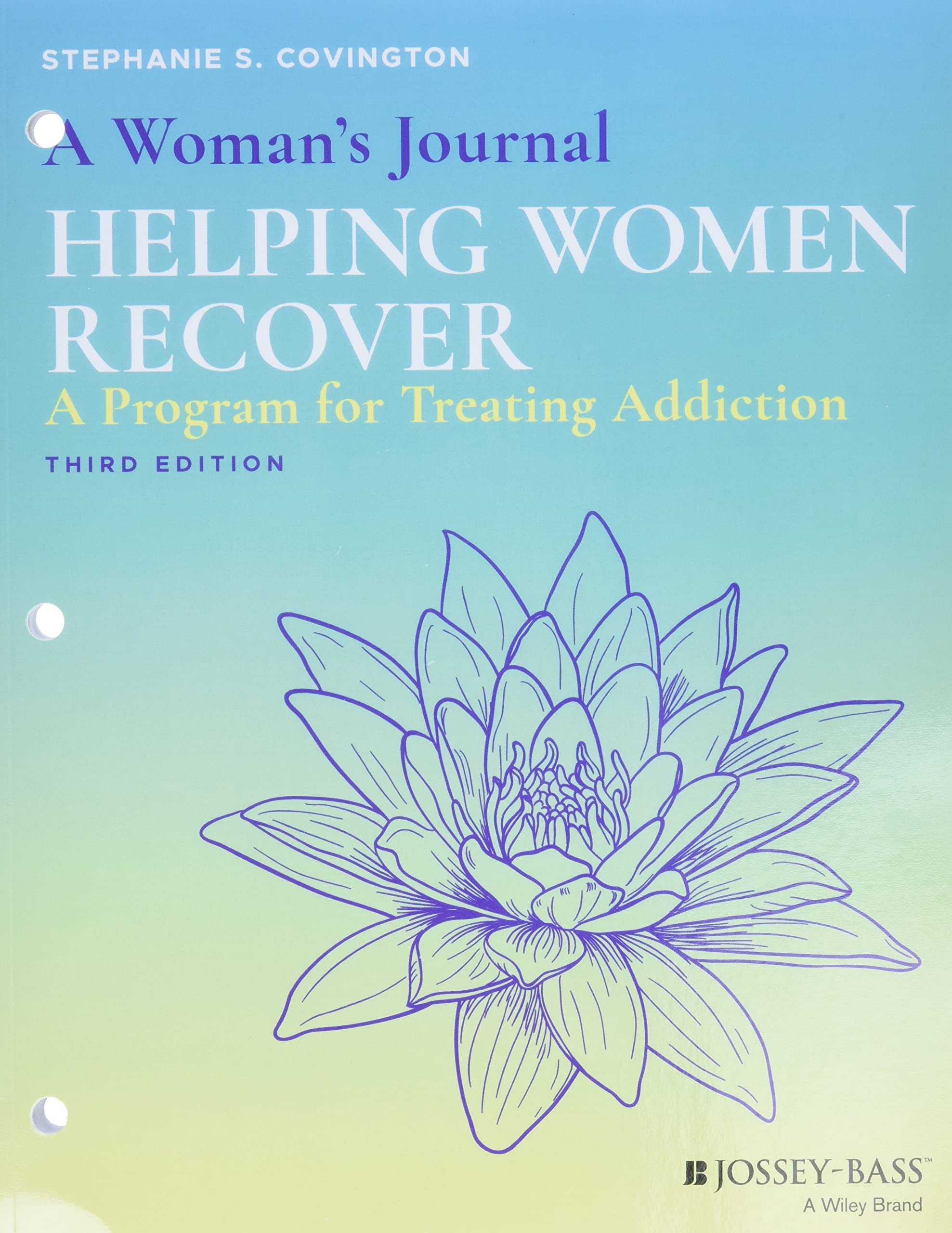 A Woman's Journal: Helping Women Recover,Used