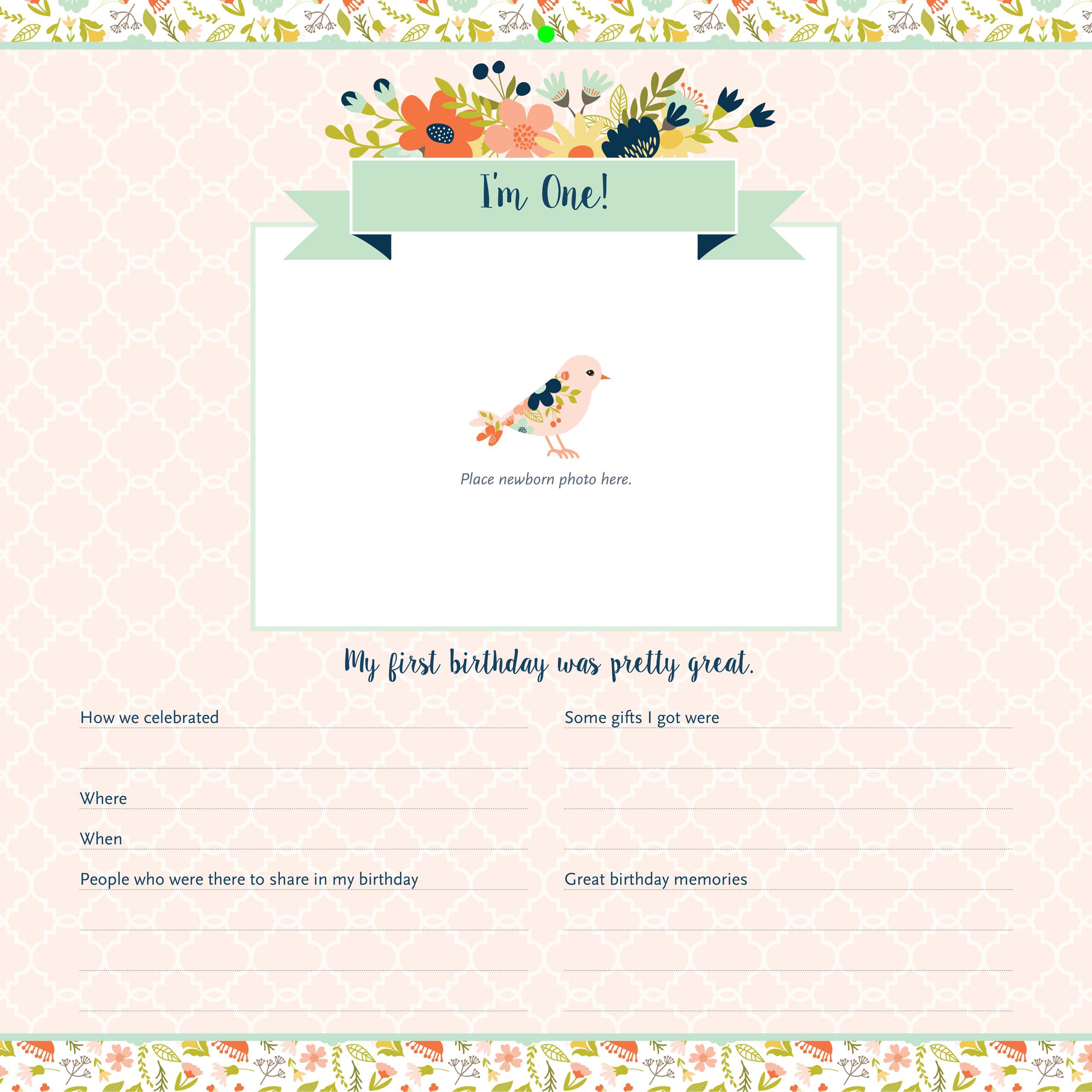 My Life as a Baby: A FirstYear Calendar (Birds),Used
