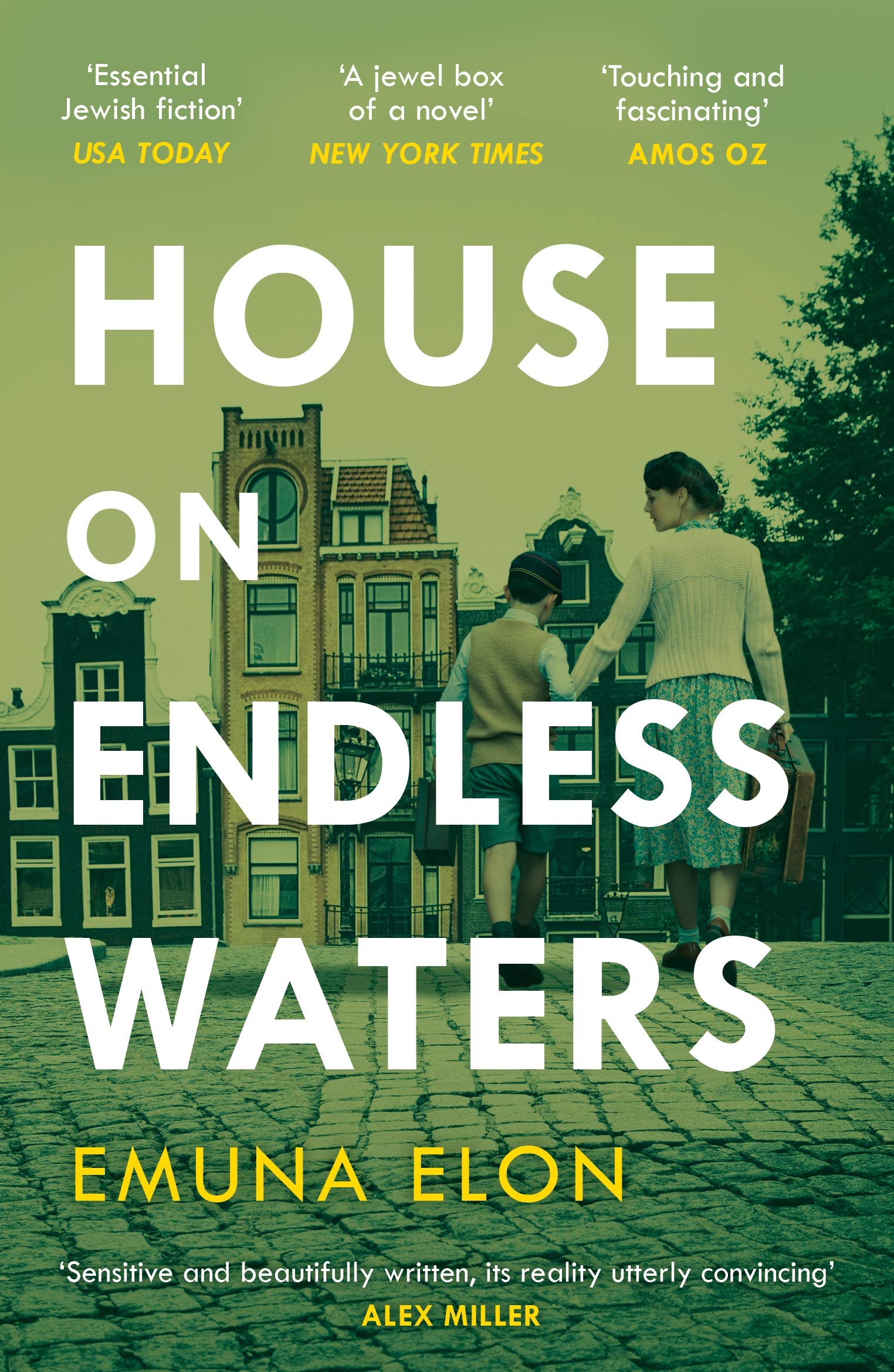 House on Endless Waters,Used