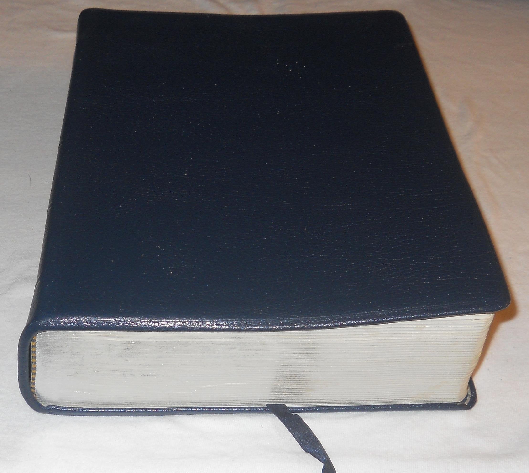 Life Application Bible