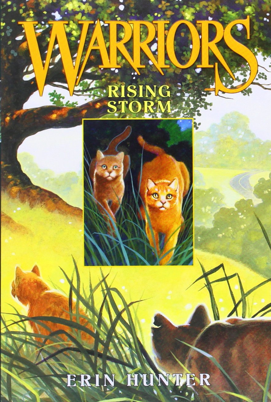 Warriors Box Set: Volumes 1 to 6,Used