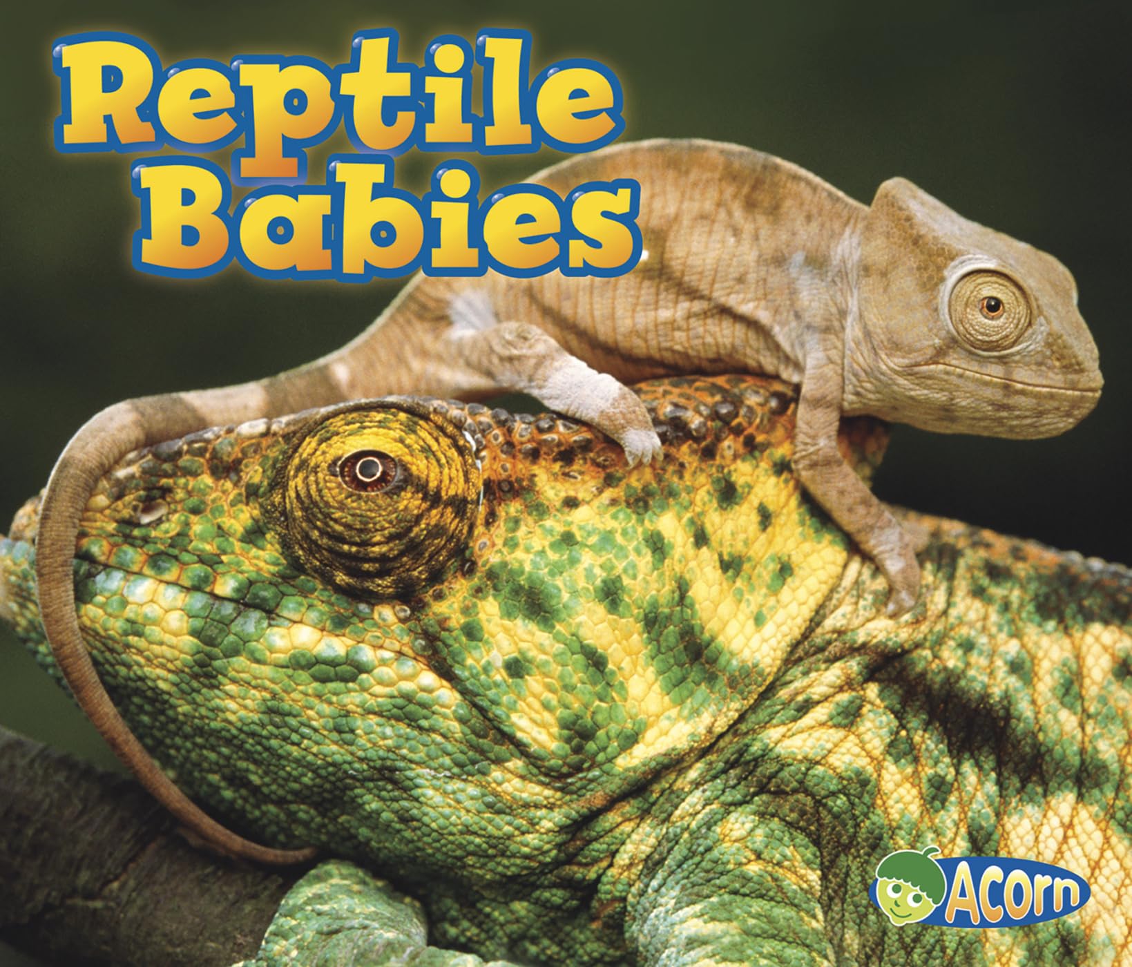 Reptile Babies (Acorn),Used